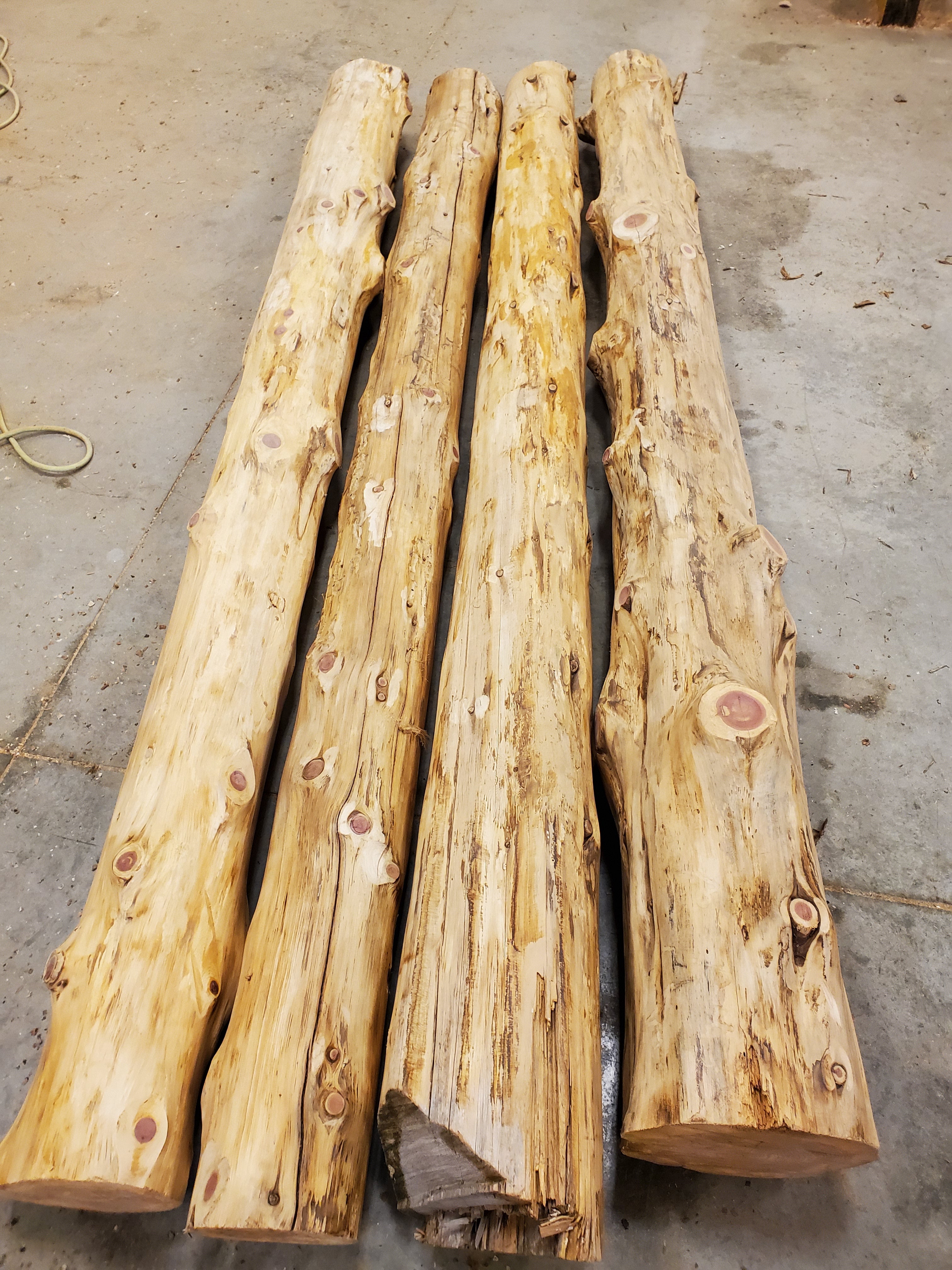 Round Timber Wood POPULAR WOOD LOGS, for Furniture at Rs 400/cubic