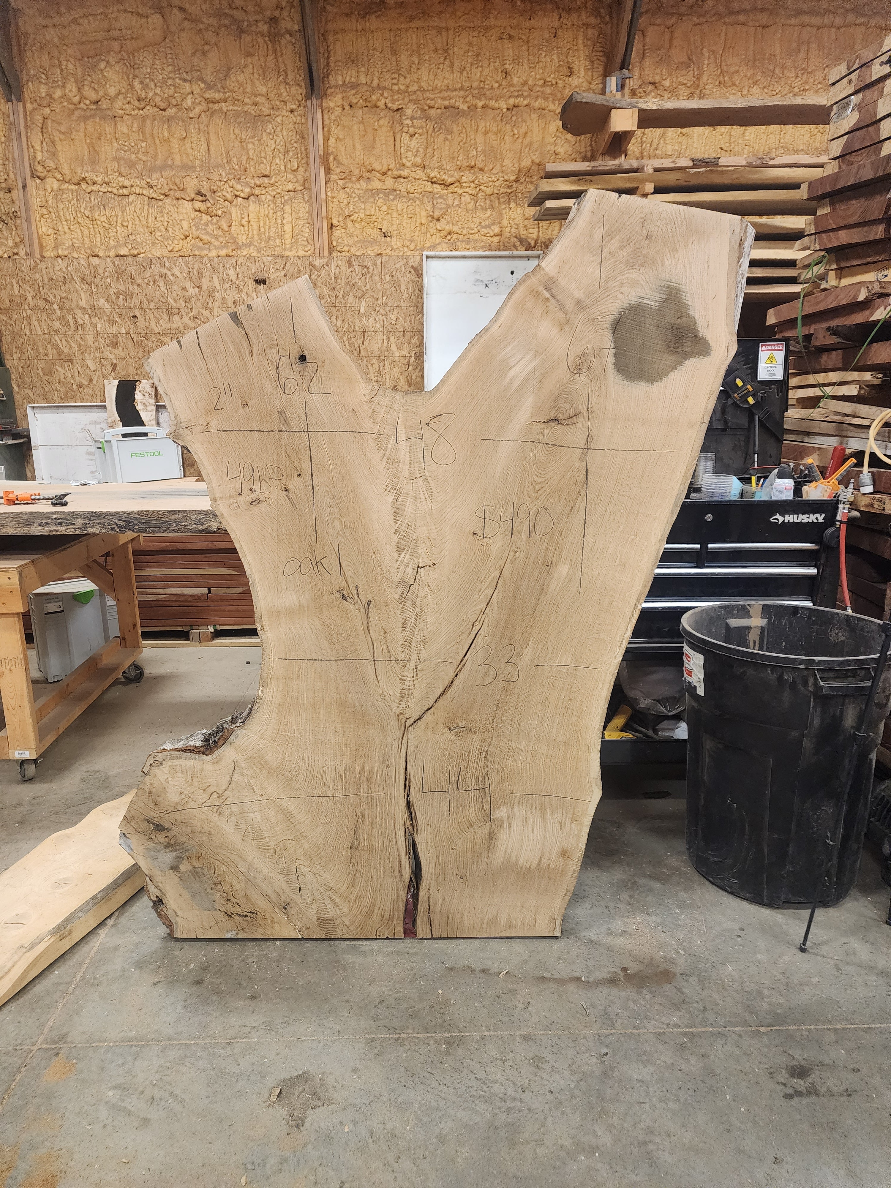 Bur oak 60