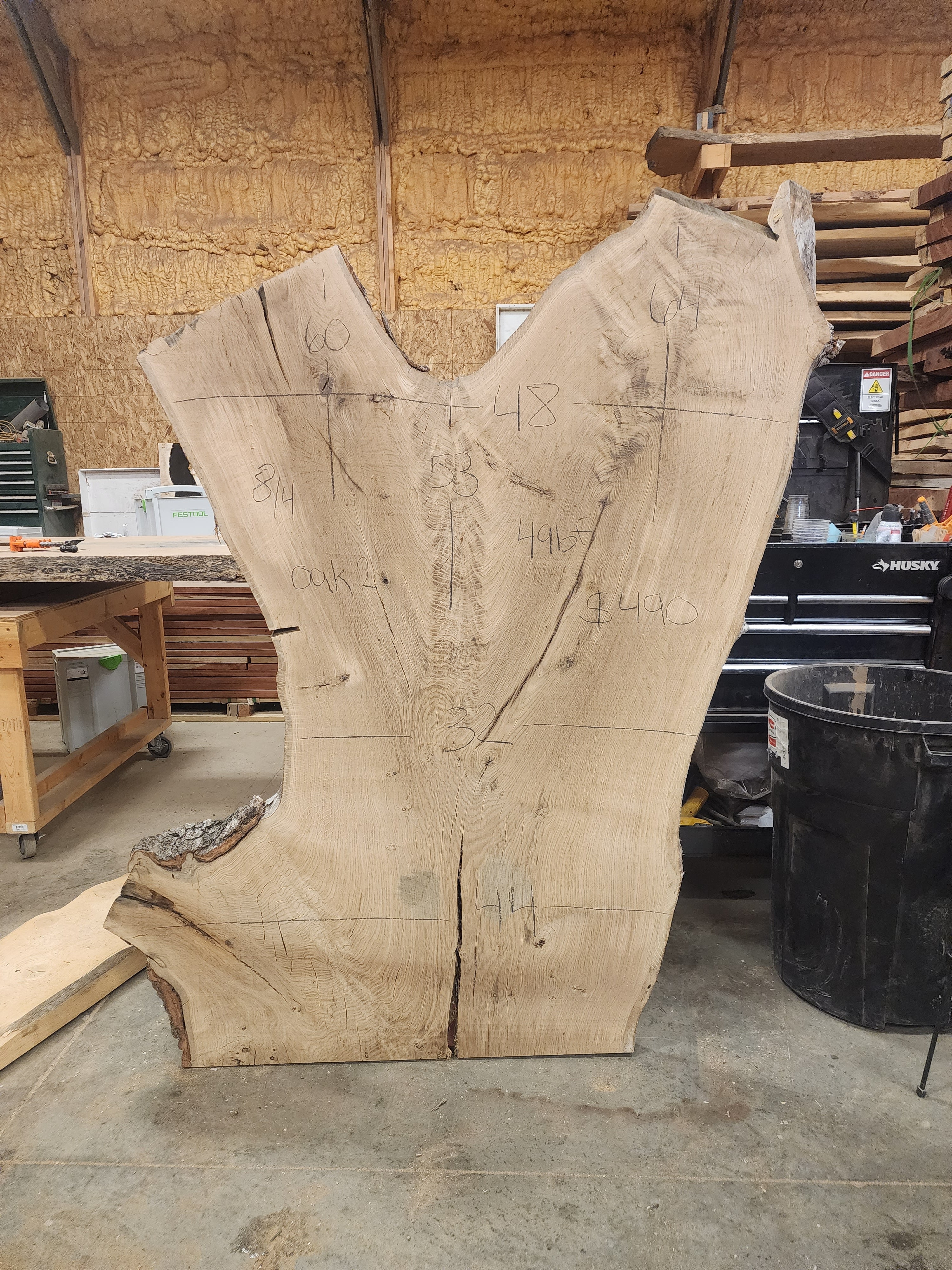 Bur oak 60