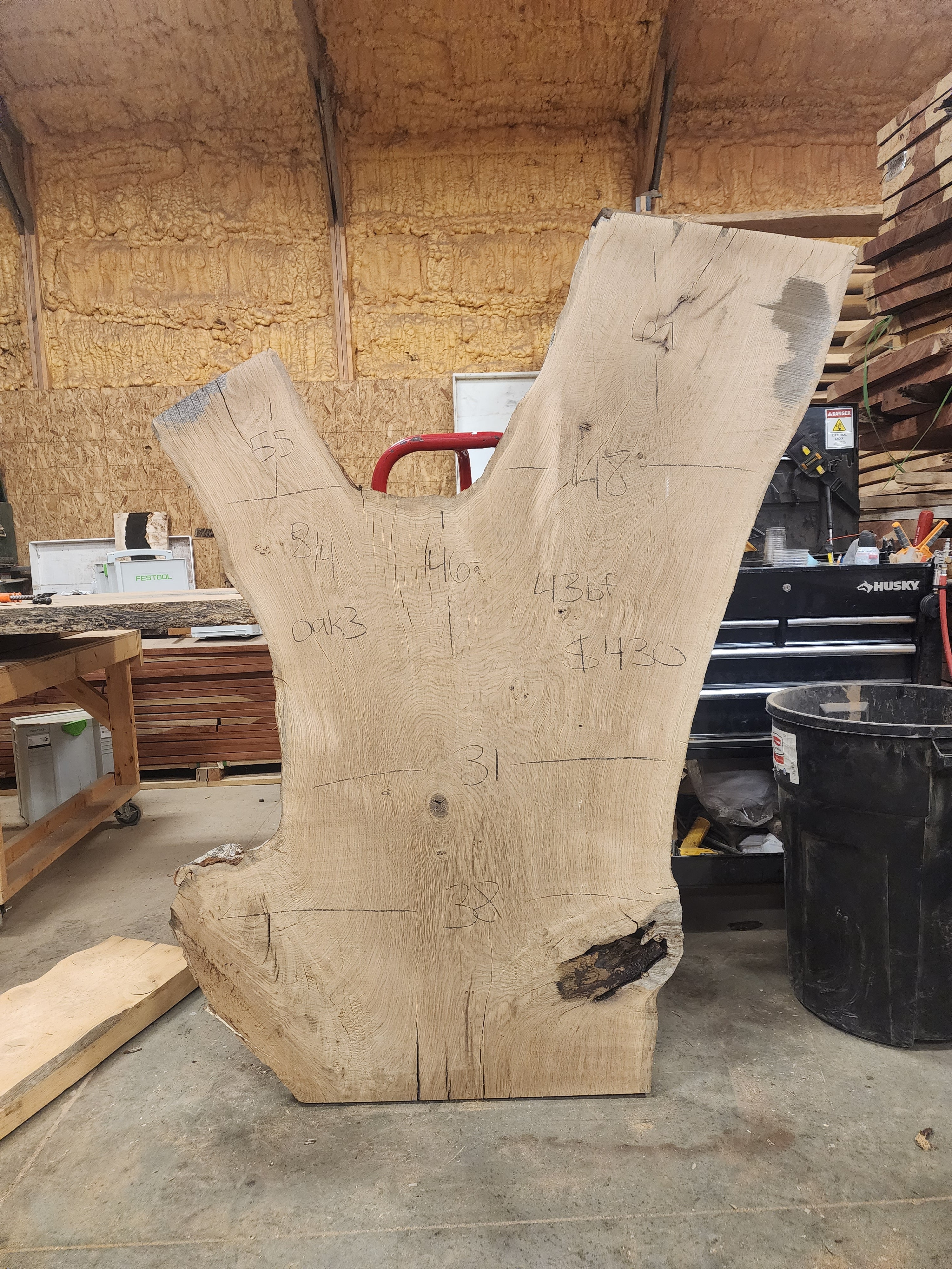 Bur oak 55