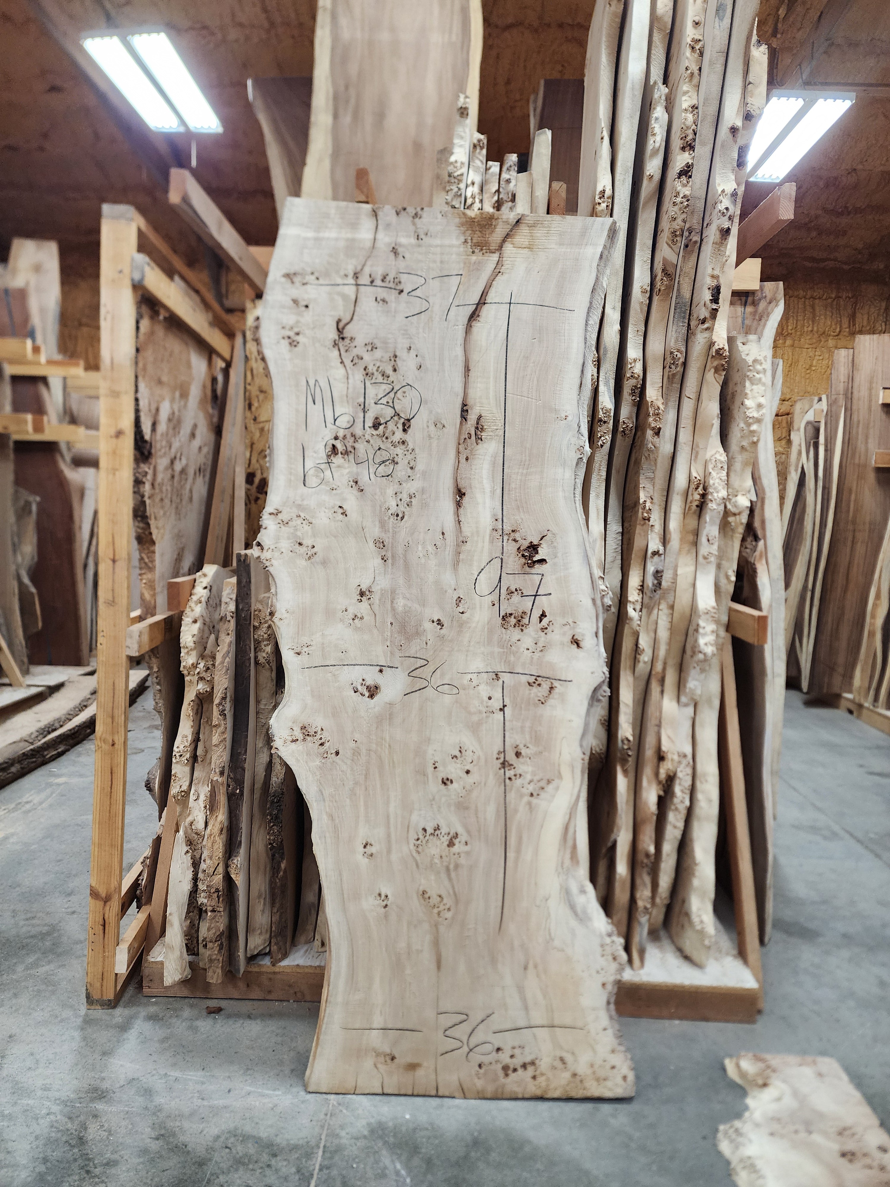 Mappa Burl 36