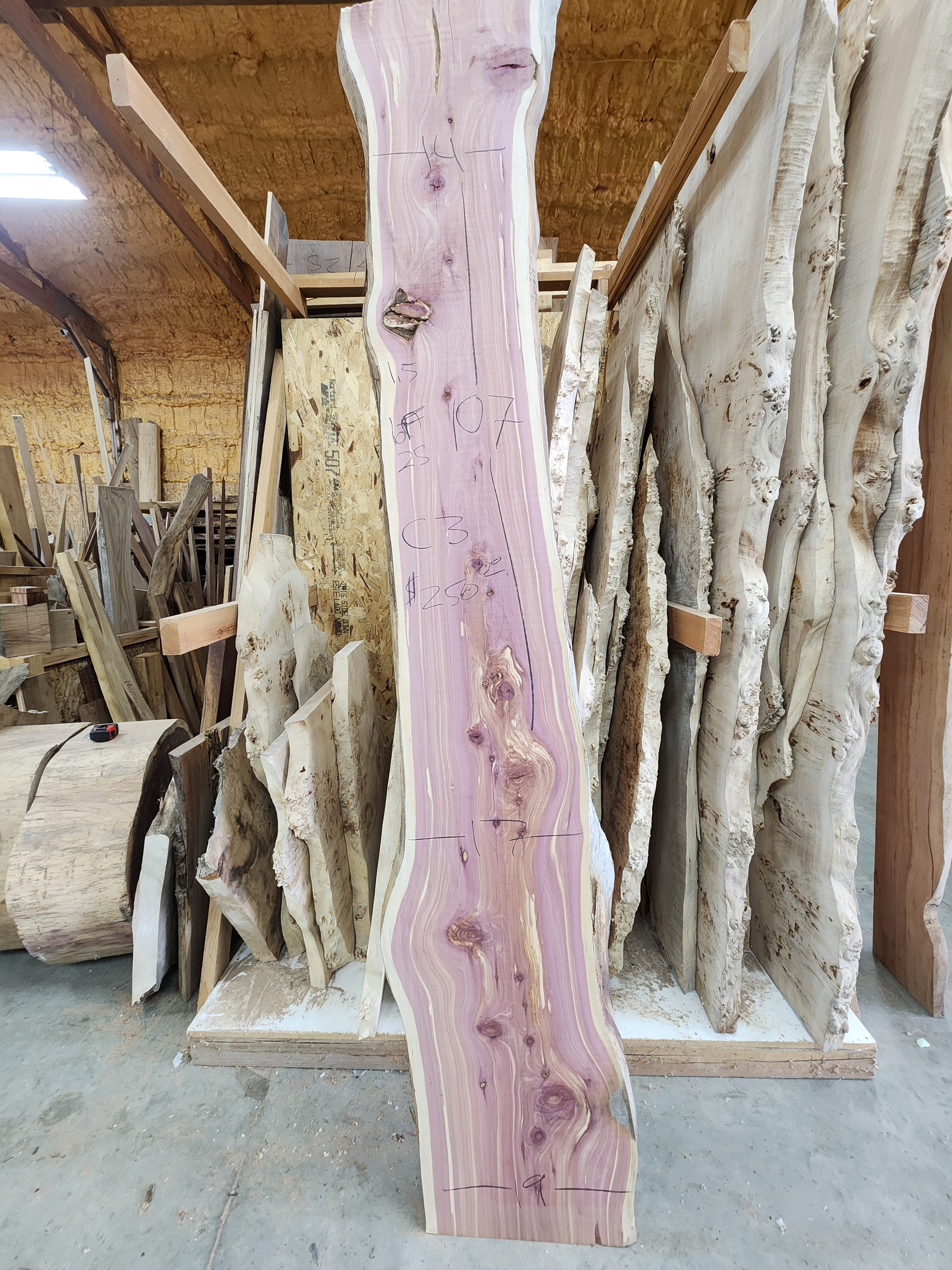 Cedar Slab 107