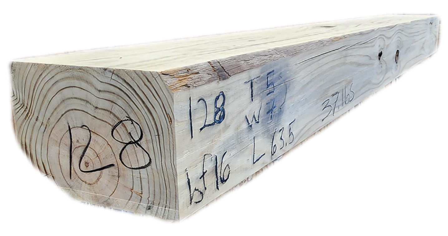 Mantel pine 7