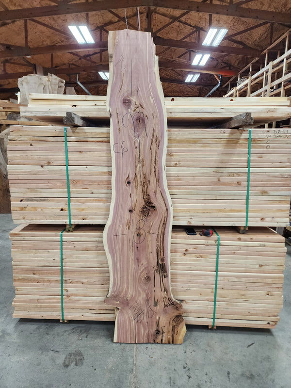 Cedar 99"x18"x2" C6