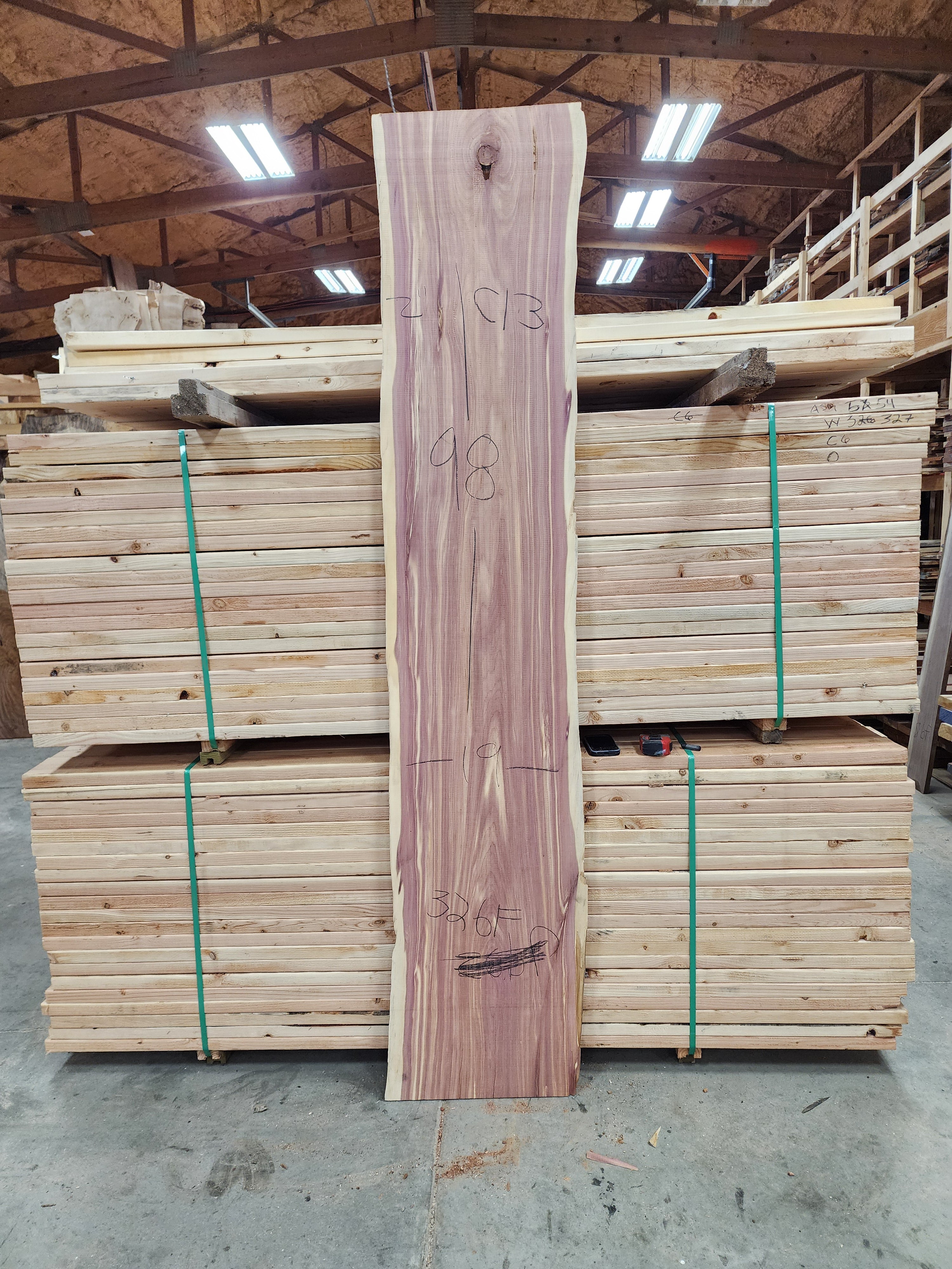 Cedar 98