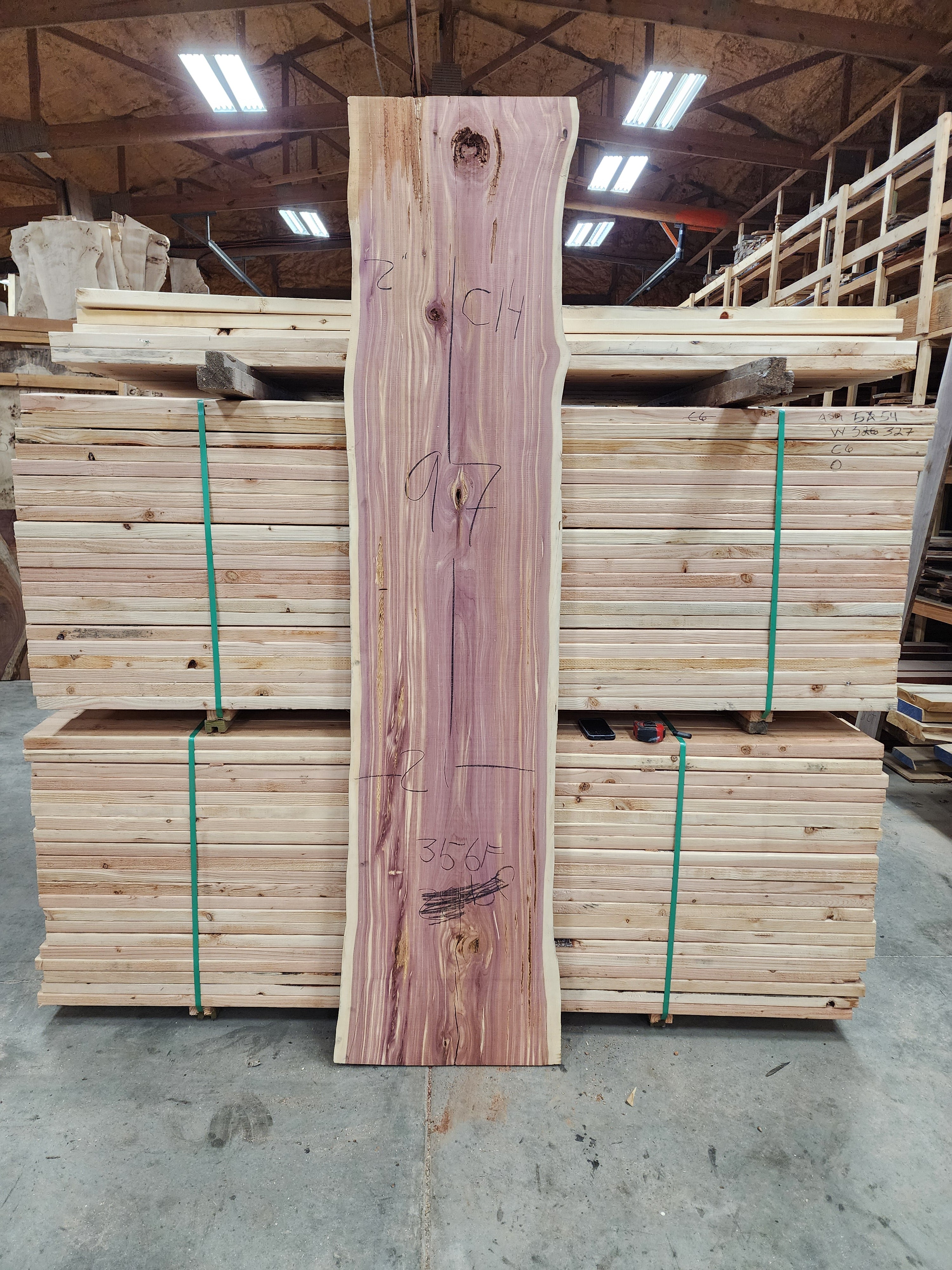 Cedar 97