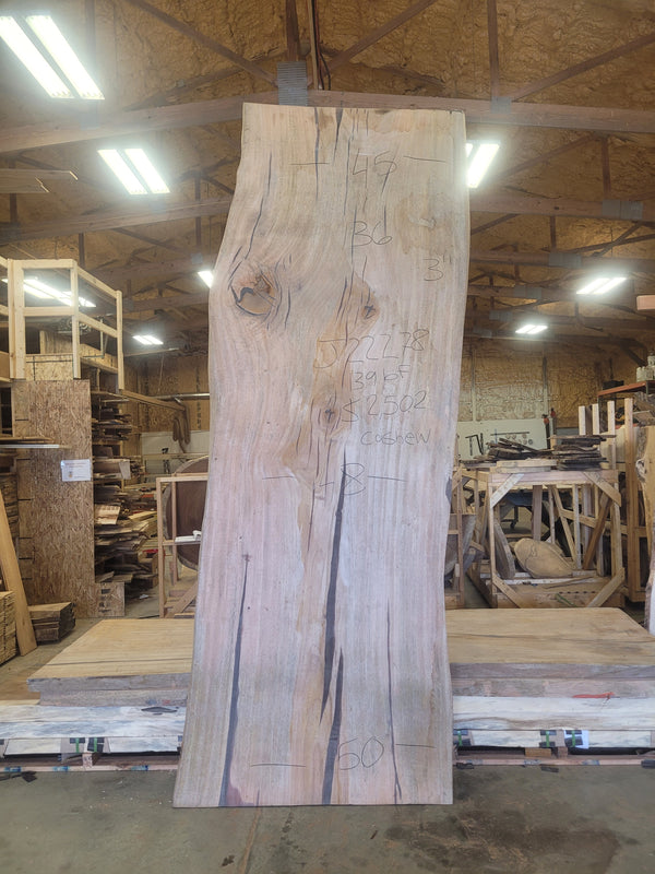 Cashew 136"x48"x3" J22278
