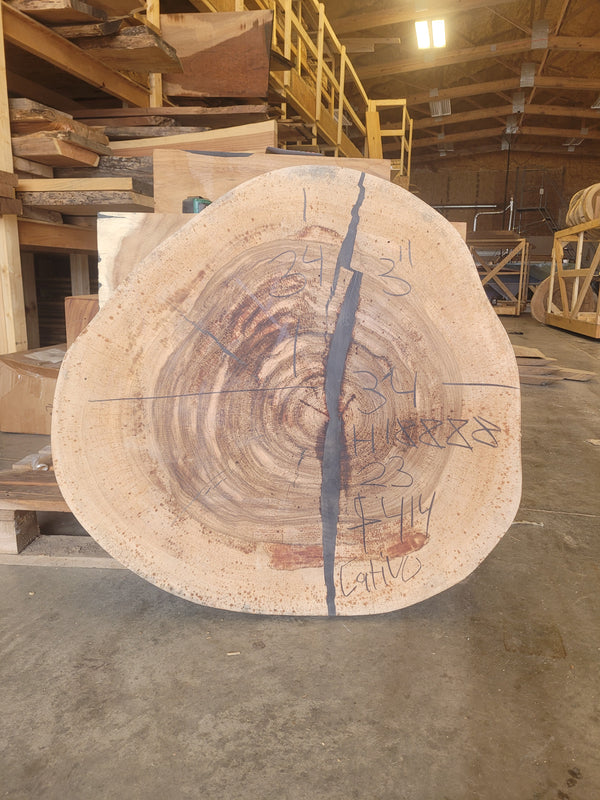 Cativo Round Slab: 35 x 31 x 3
