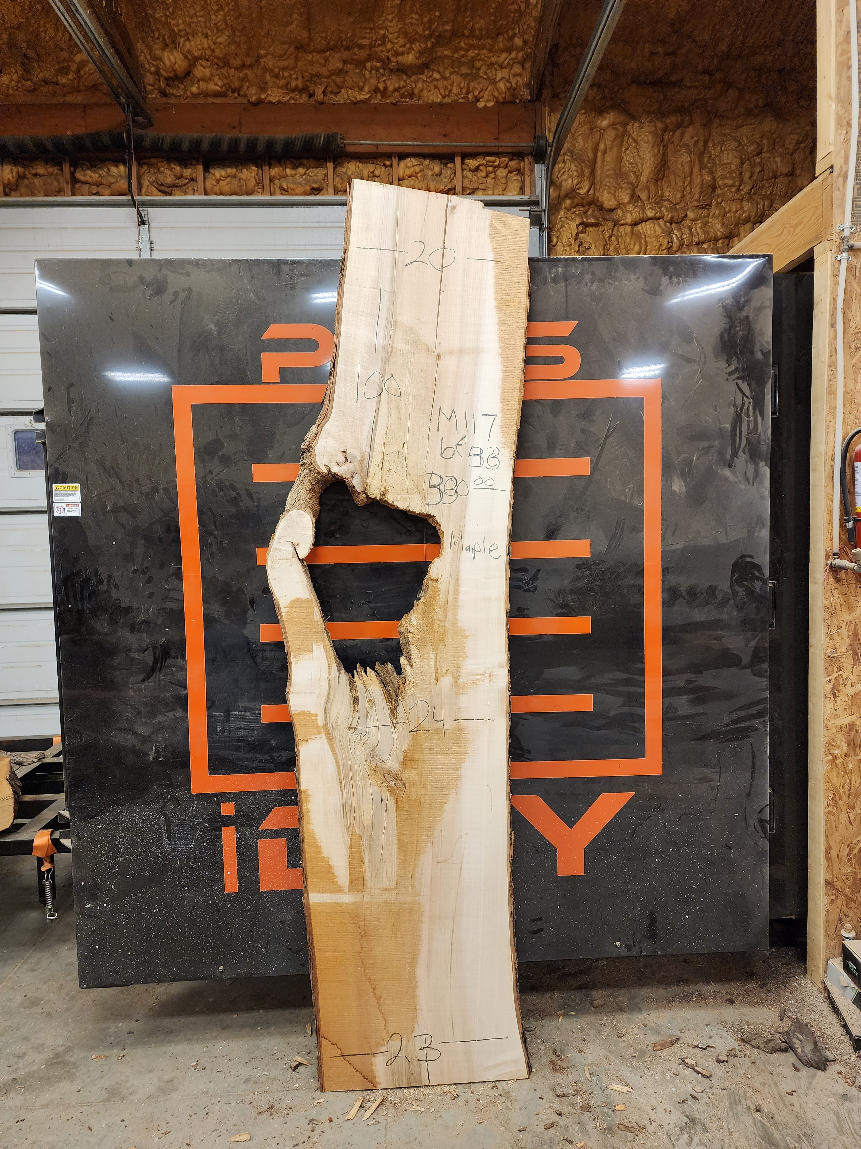Maple 100