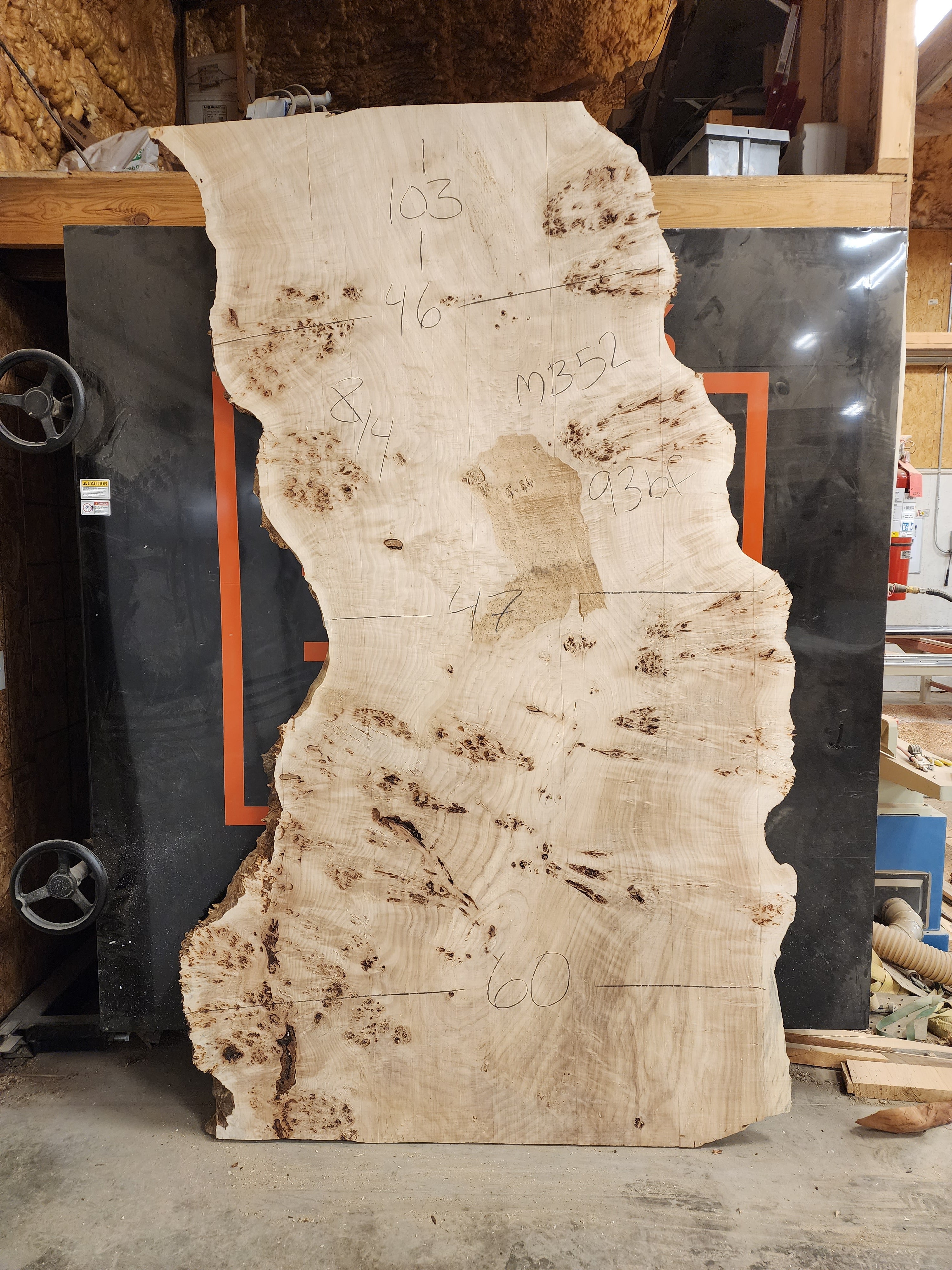 Mappa Burl Wood Slab - Kiln Dried - Wood Slabs