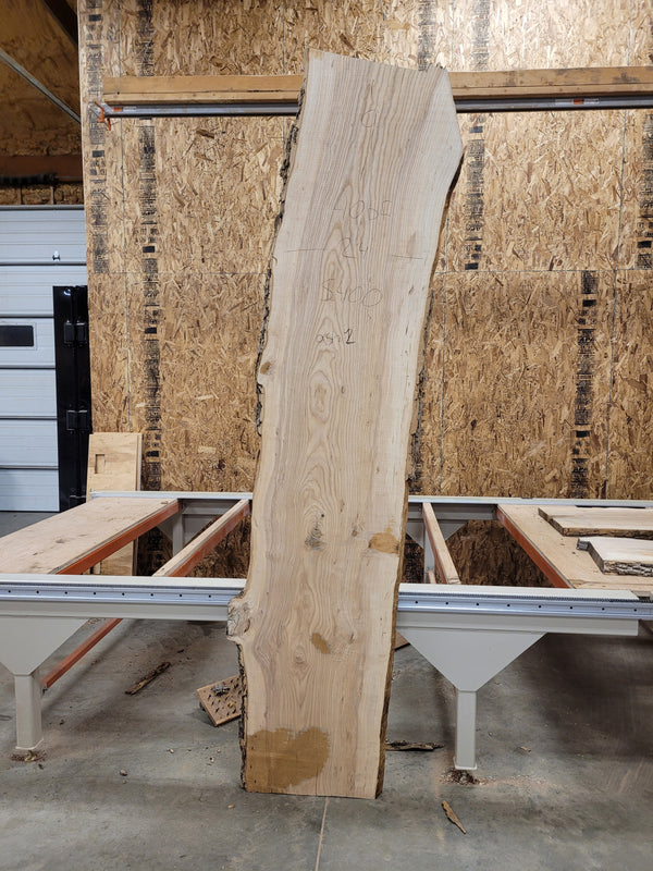 Ash slab 110x24 Ash2