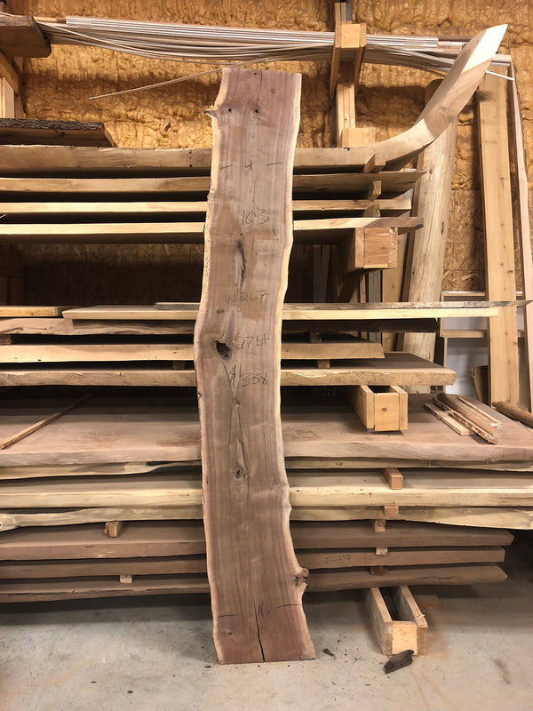 Walnut: 103" x 15" x 2" 27bf