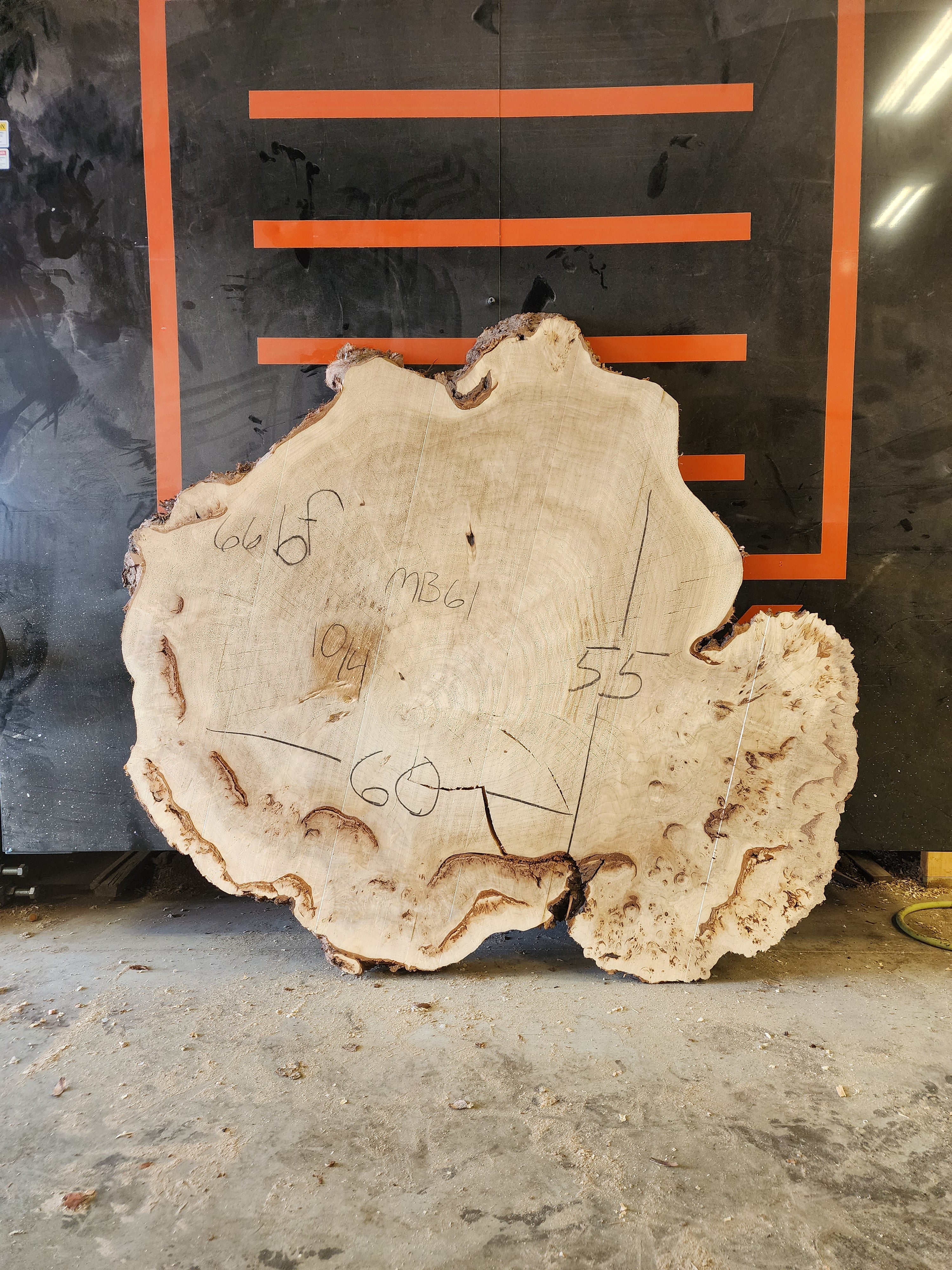 Mappa Burl 60