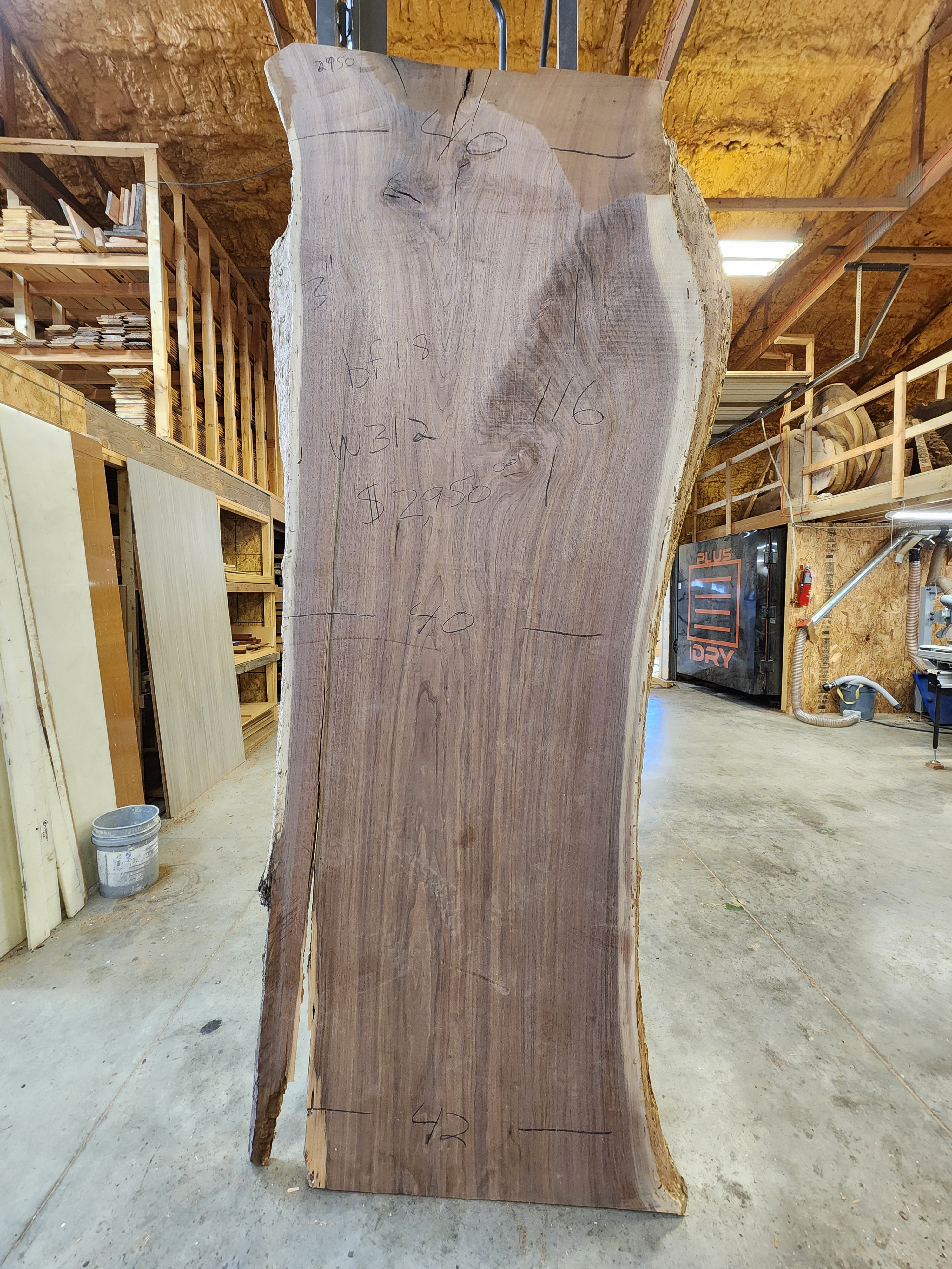 Walnut 116