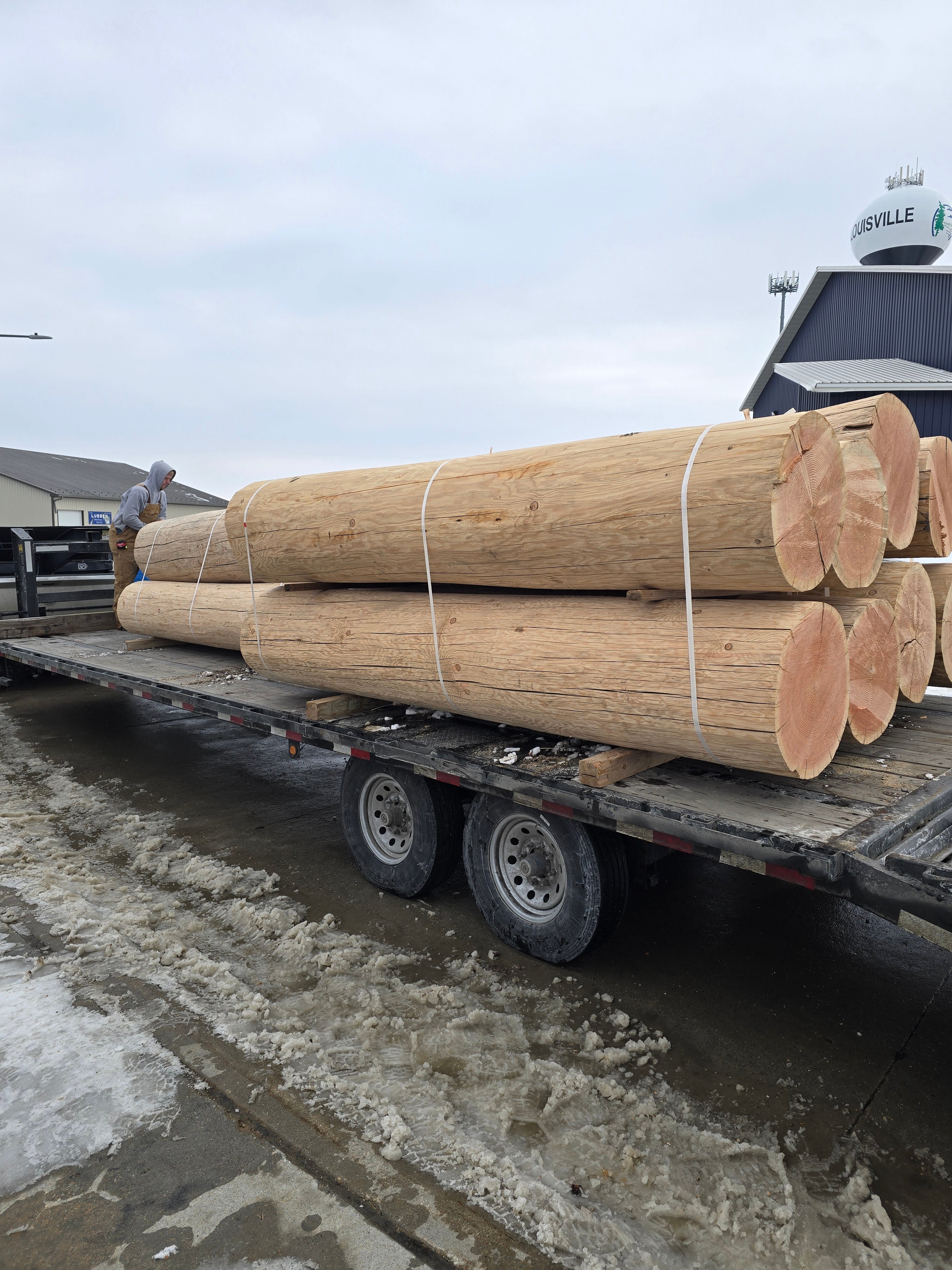 Round Log Timbers