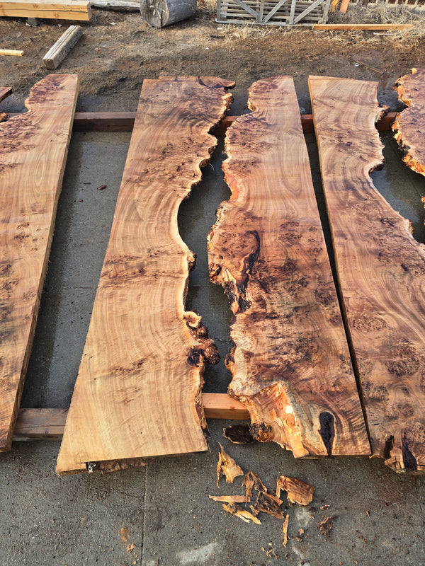 Mappa Burl river table set mb5