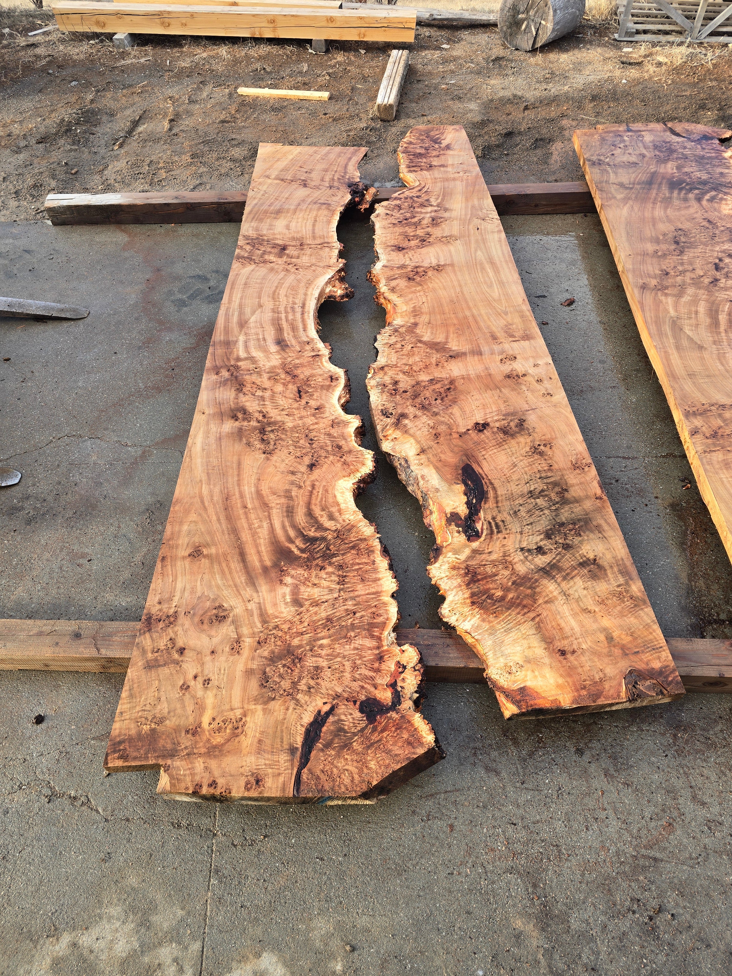 Mappa Burl river table set mbr6