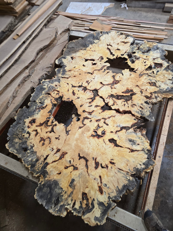 Buckeye Burl 96"x60"x3" bb1