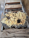Buckeye Burl 96"x60"x3" bb1