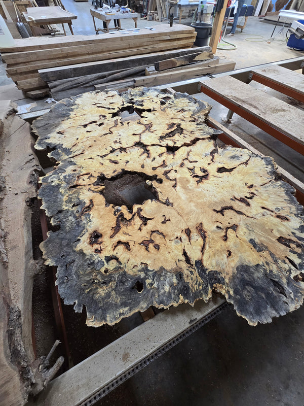 Buckeye Burl 96"x60"x3" bb1