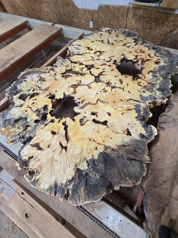 Buckeye Burl 96"x60"x3" bb1