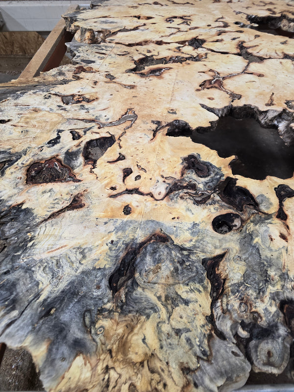Buckeye Burl 96"x60"x3" bb1
