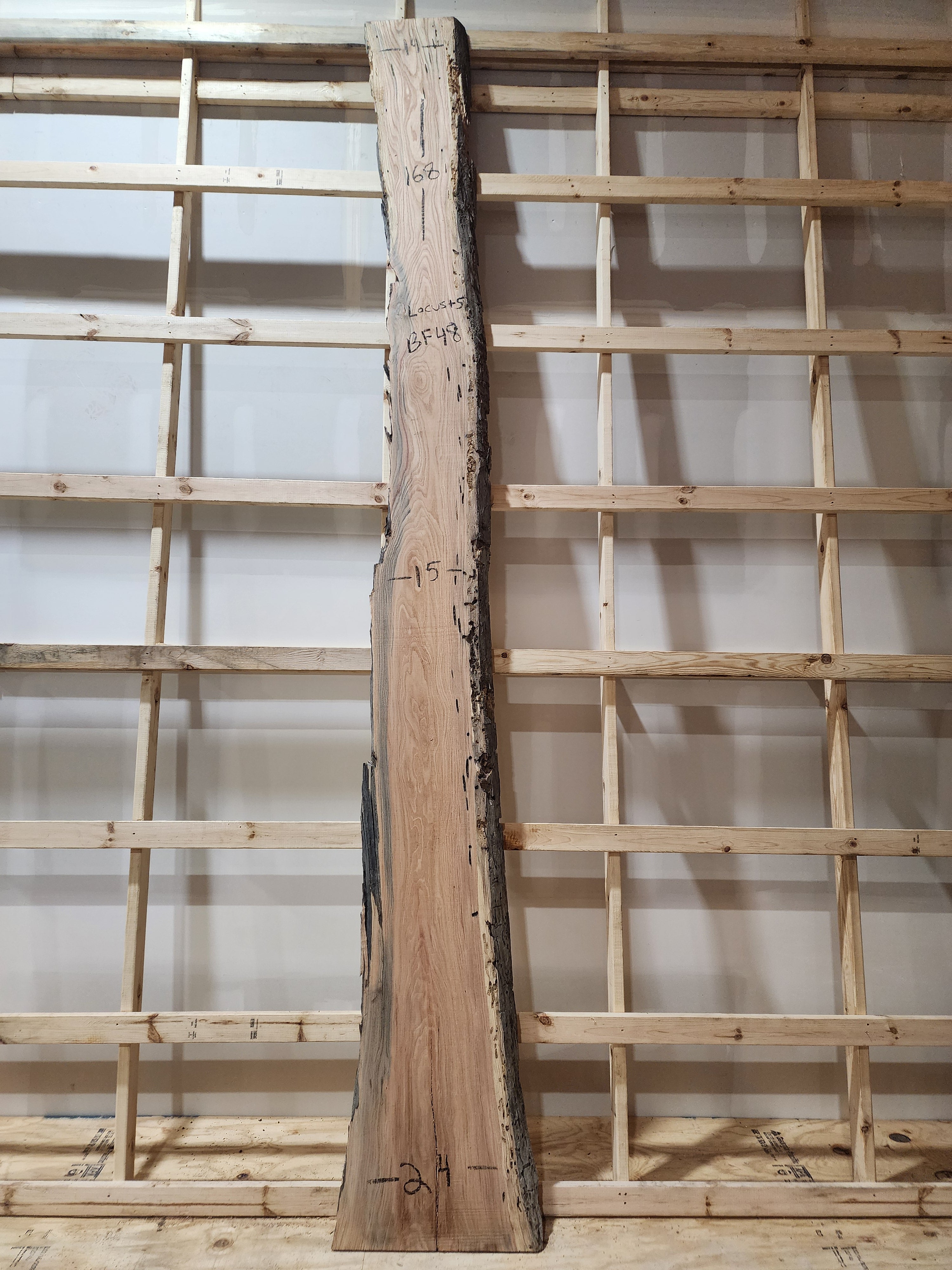 Locust 168