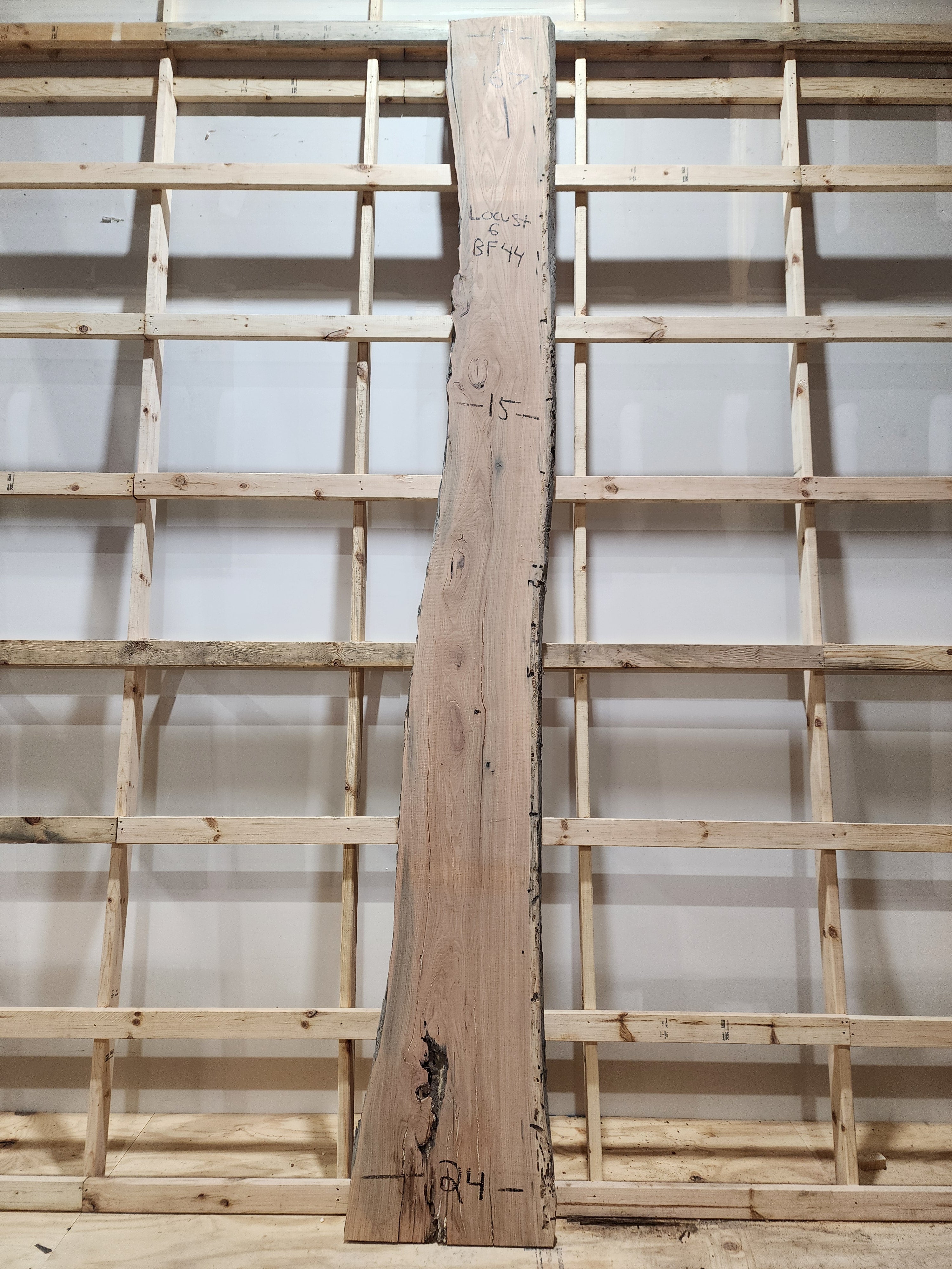 Locust 167