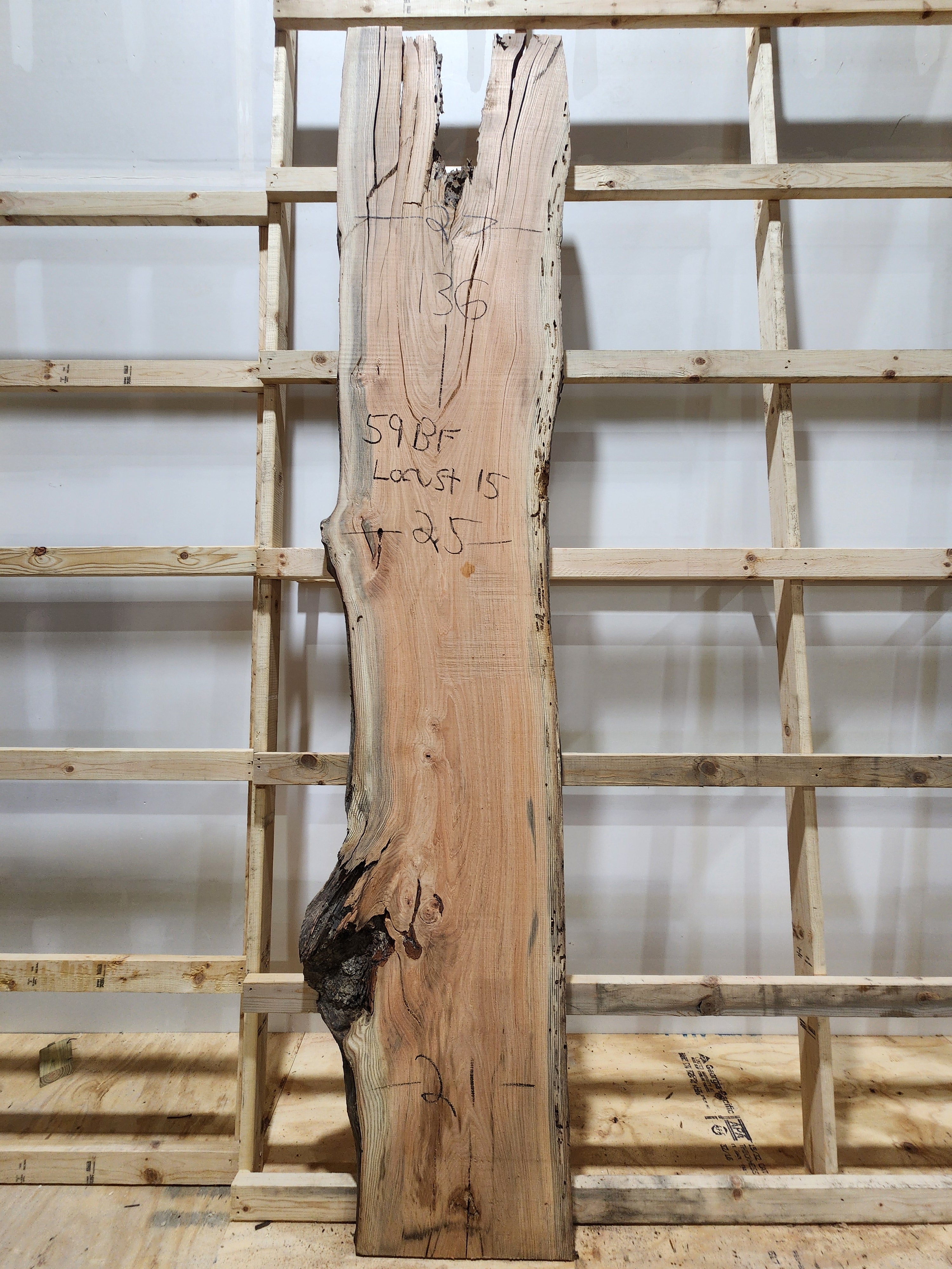 Locust 136