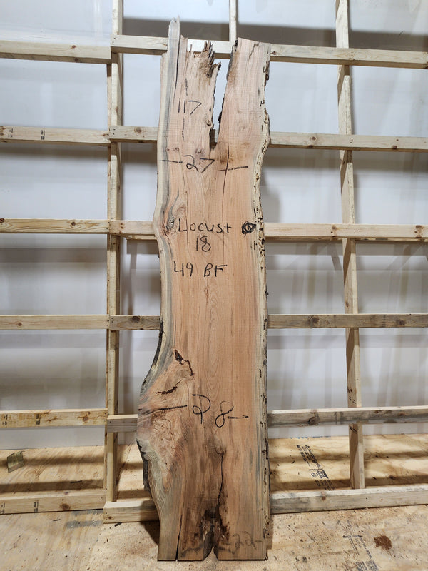 Locust 117"x27"x2"