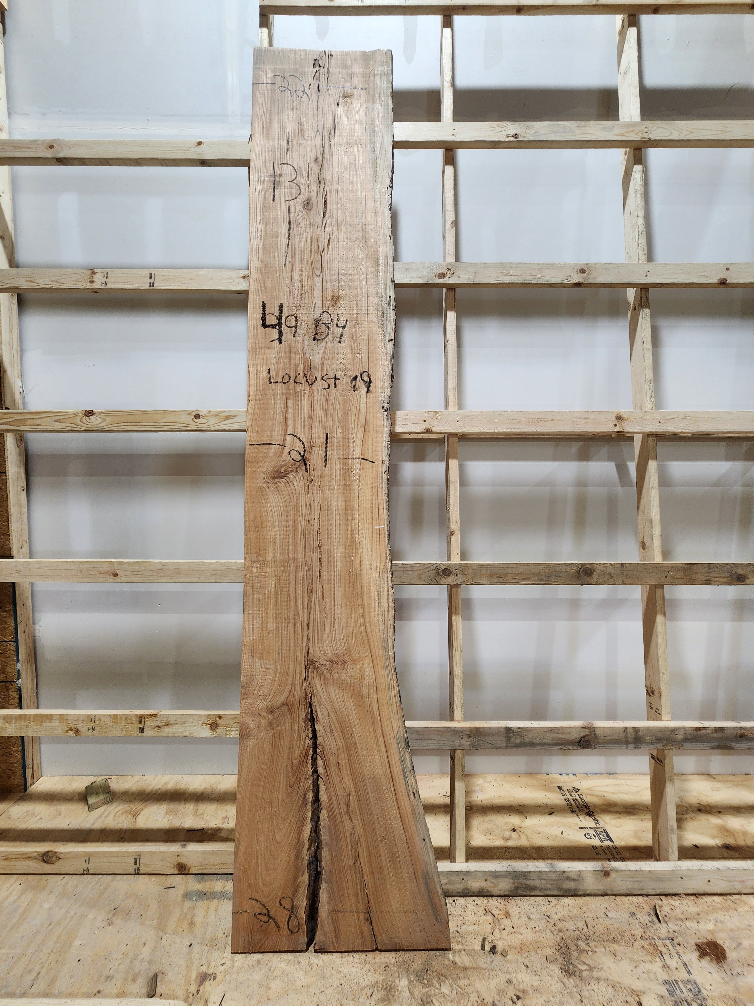 Locust 131