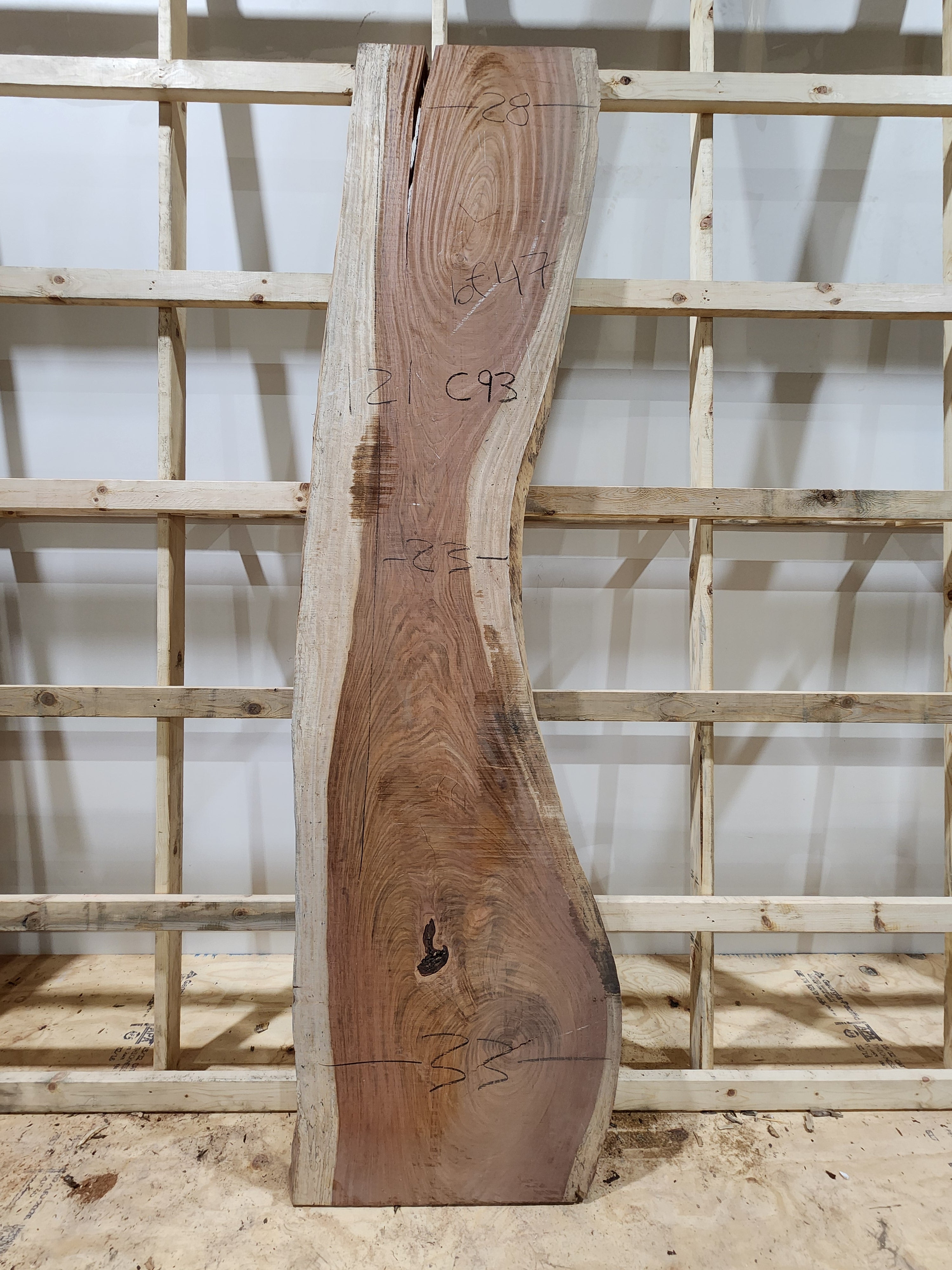Jatoba 23