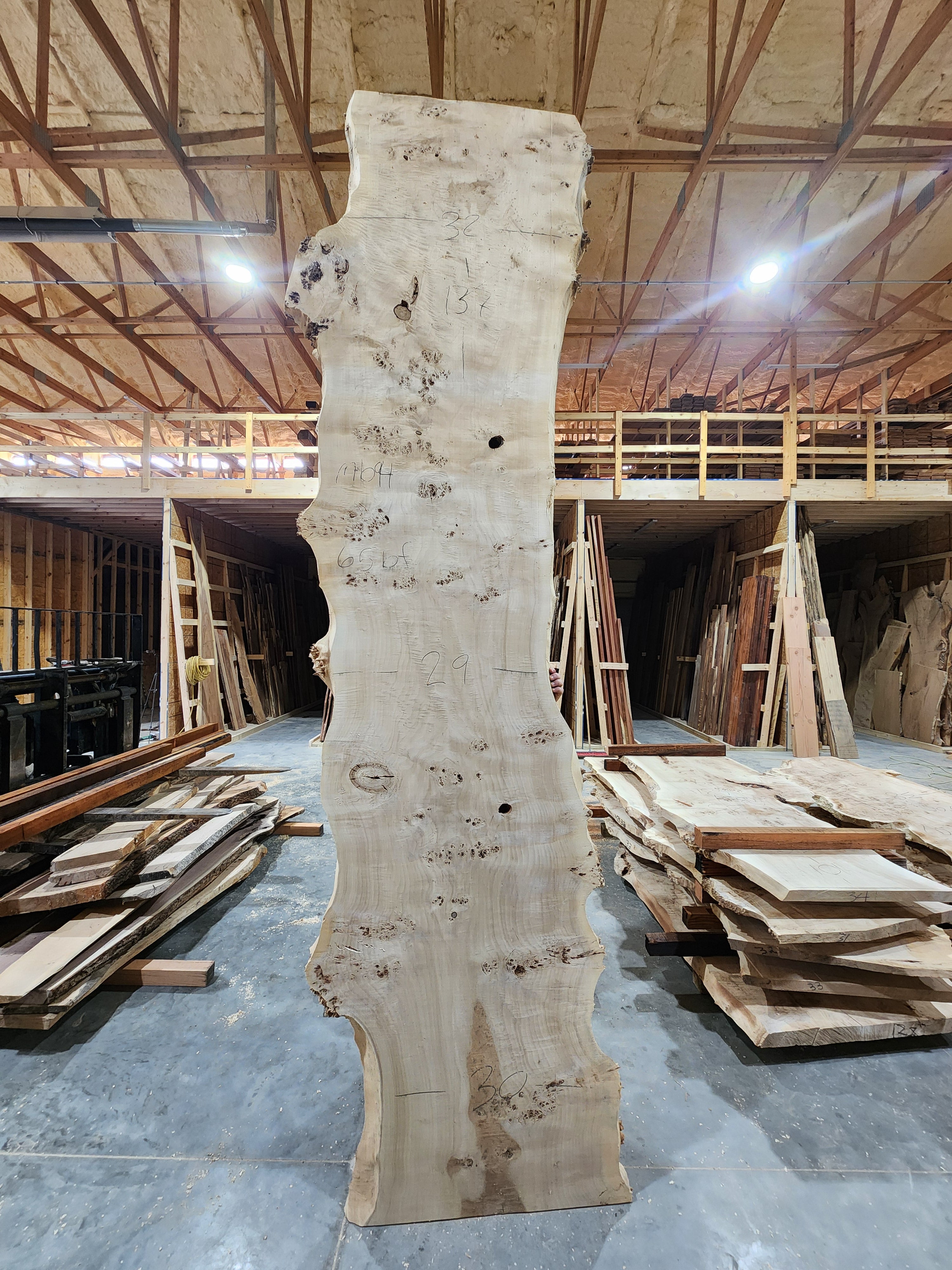 Mappa Burl 137