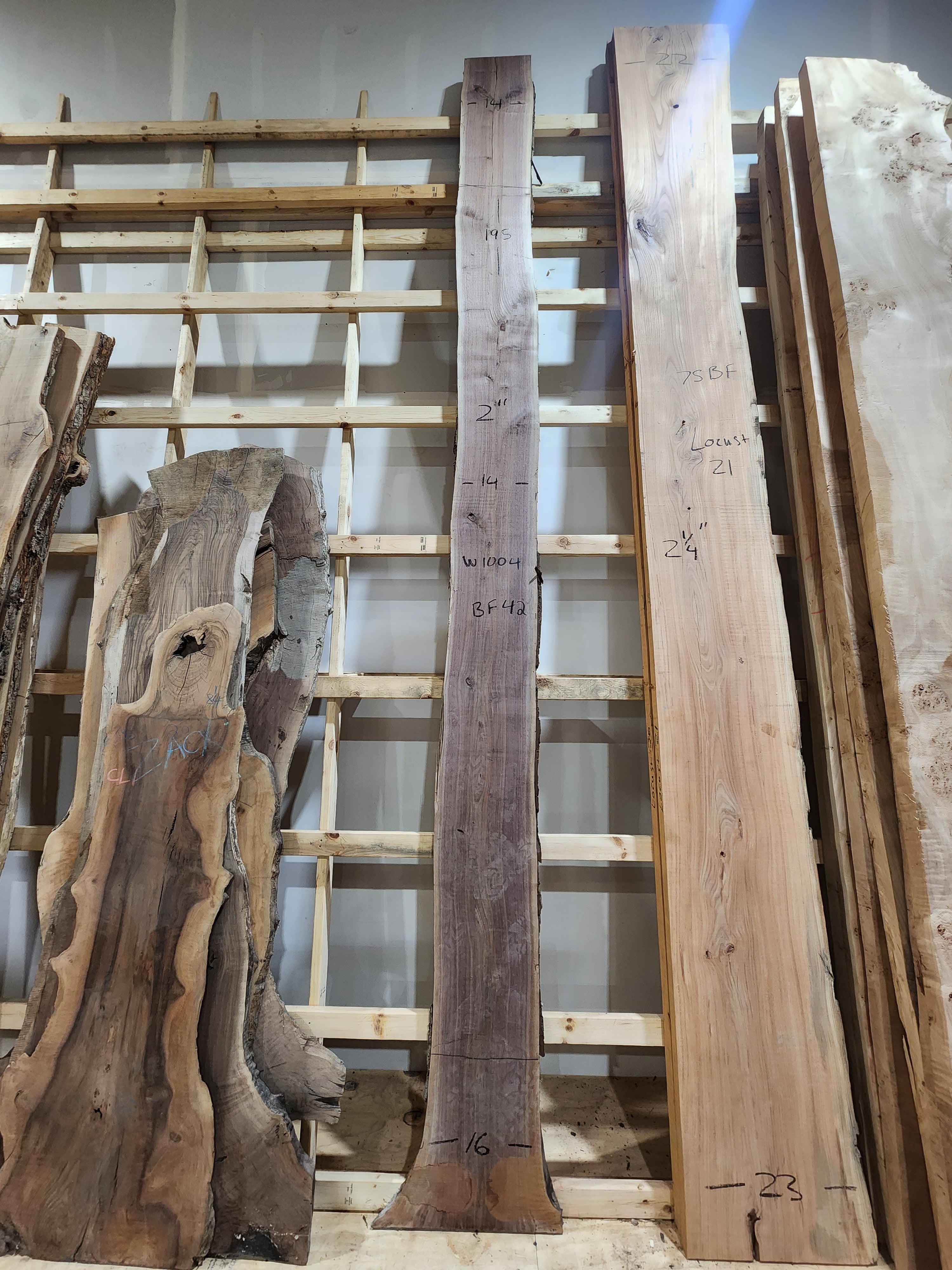 Walnut 195