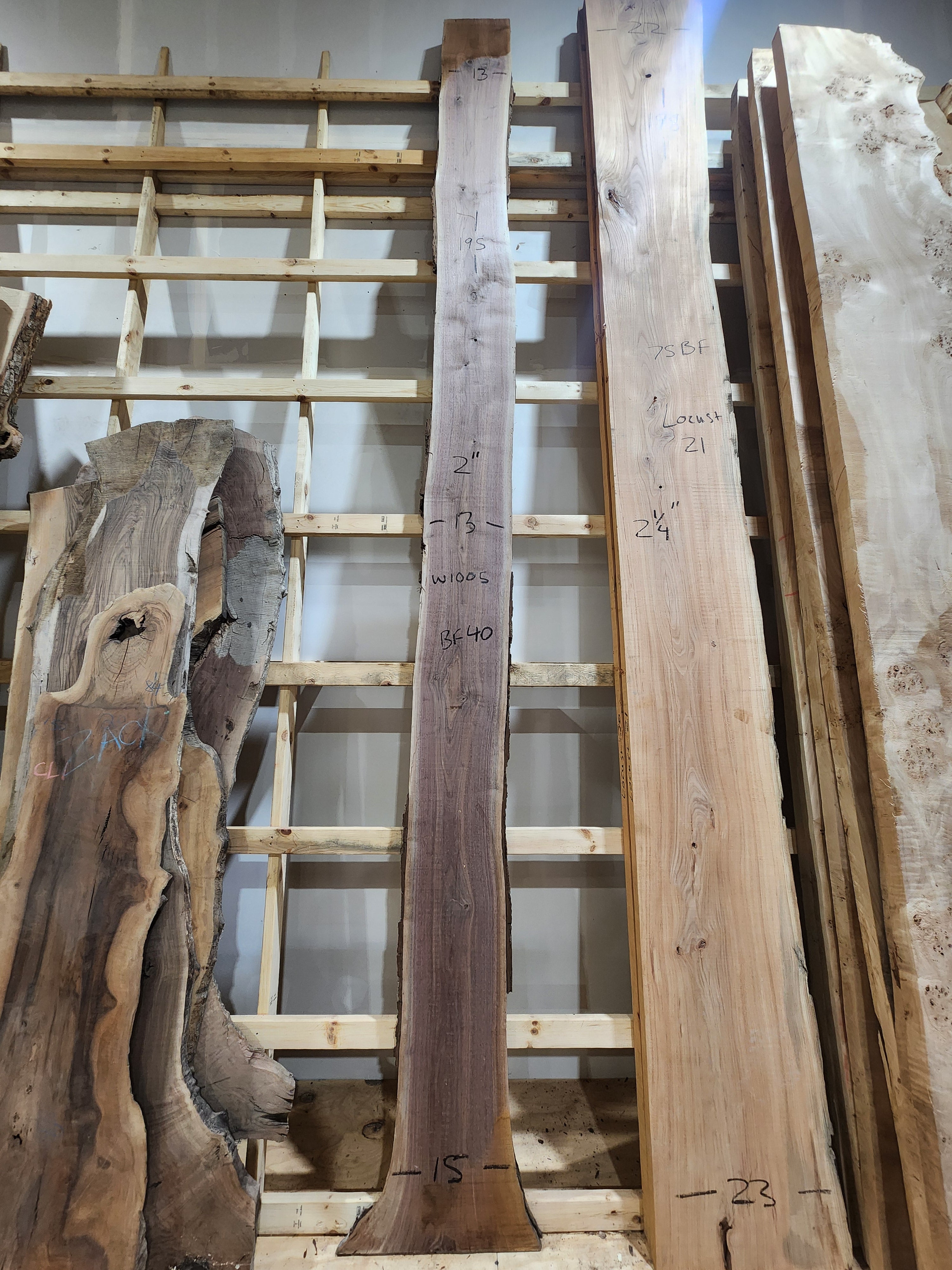 Walnut 195