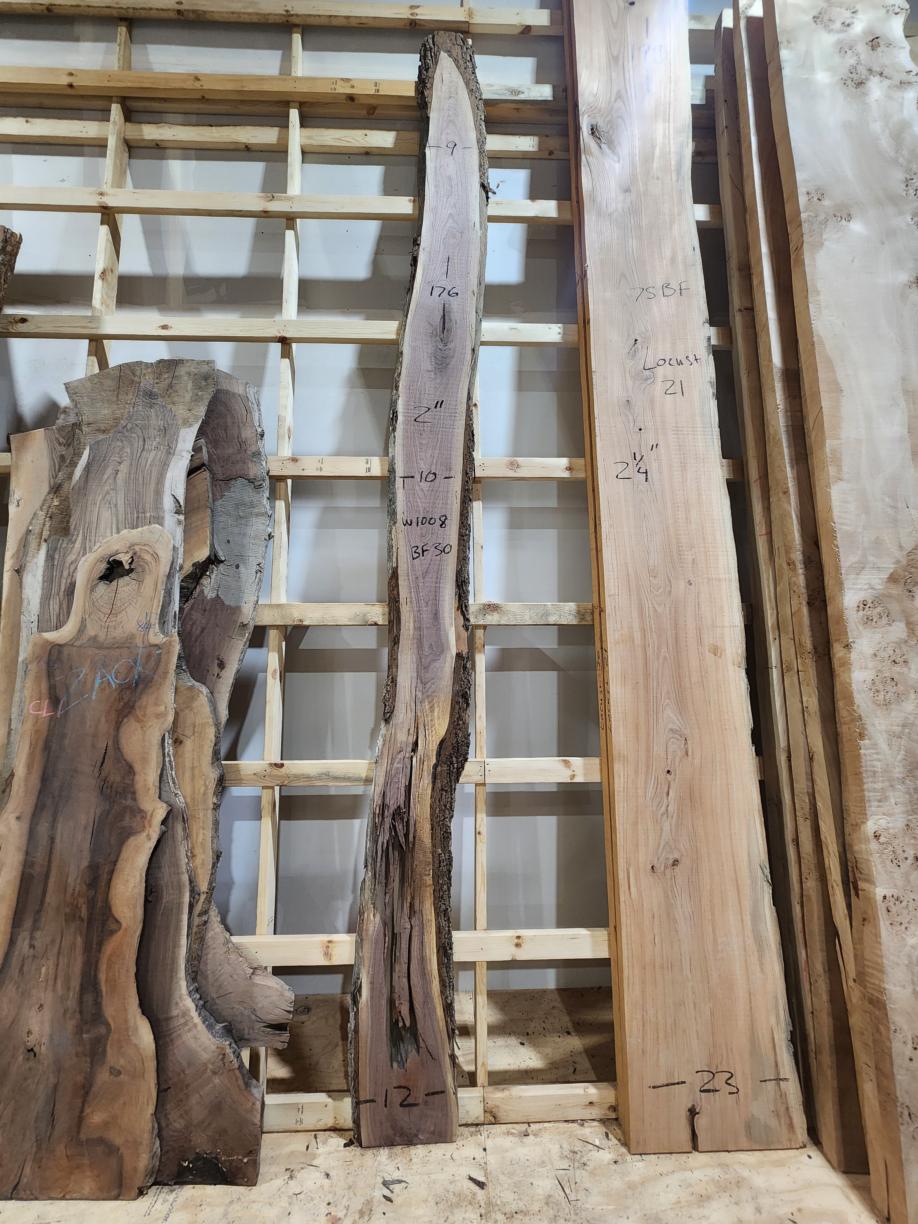 Walnut 176