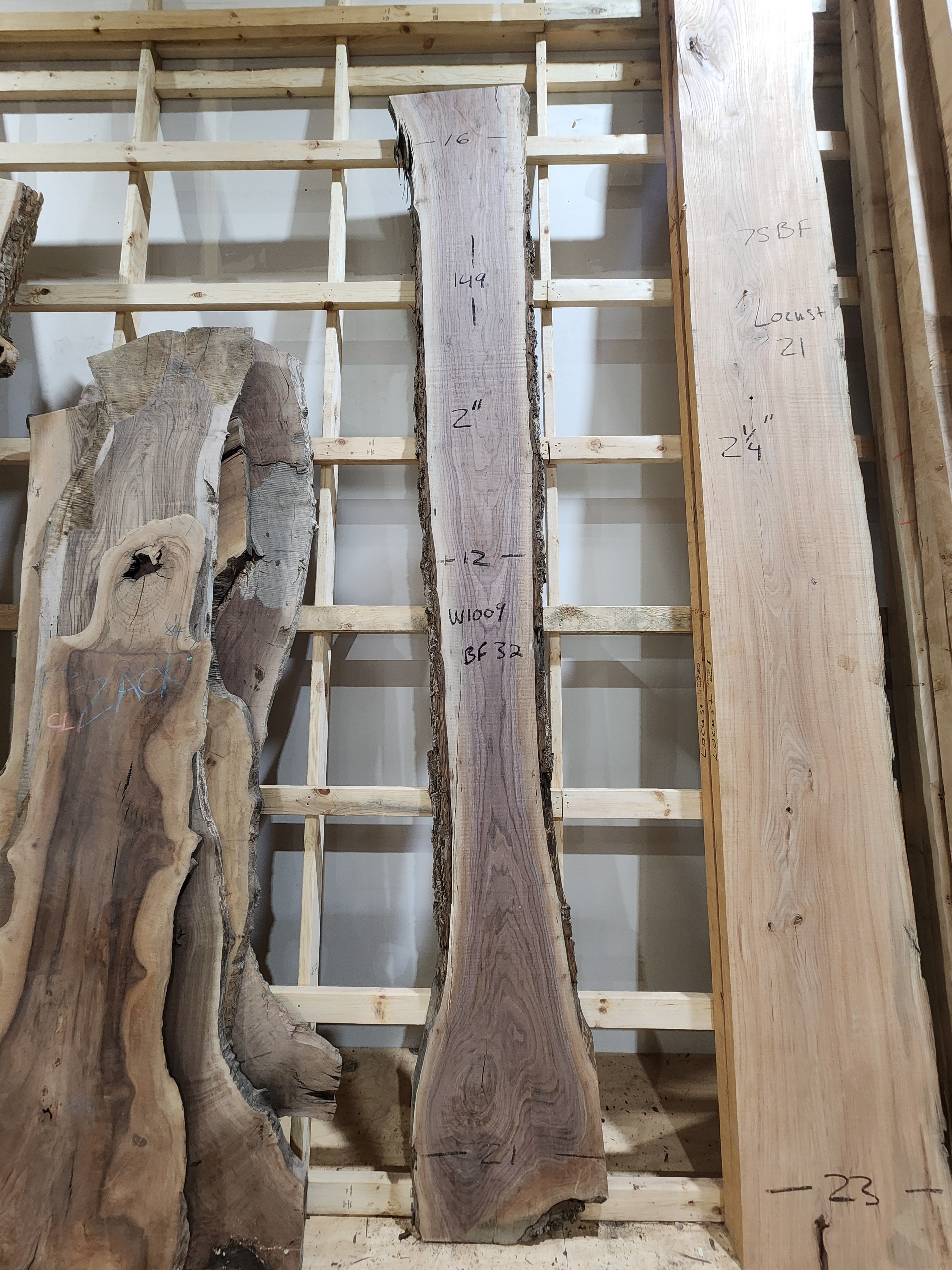 Walnut 149