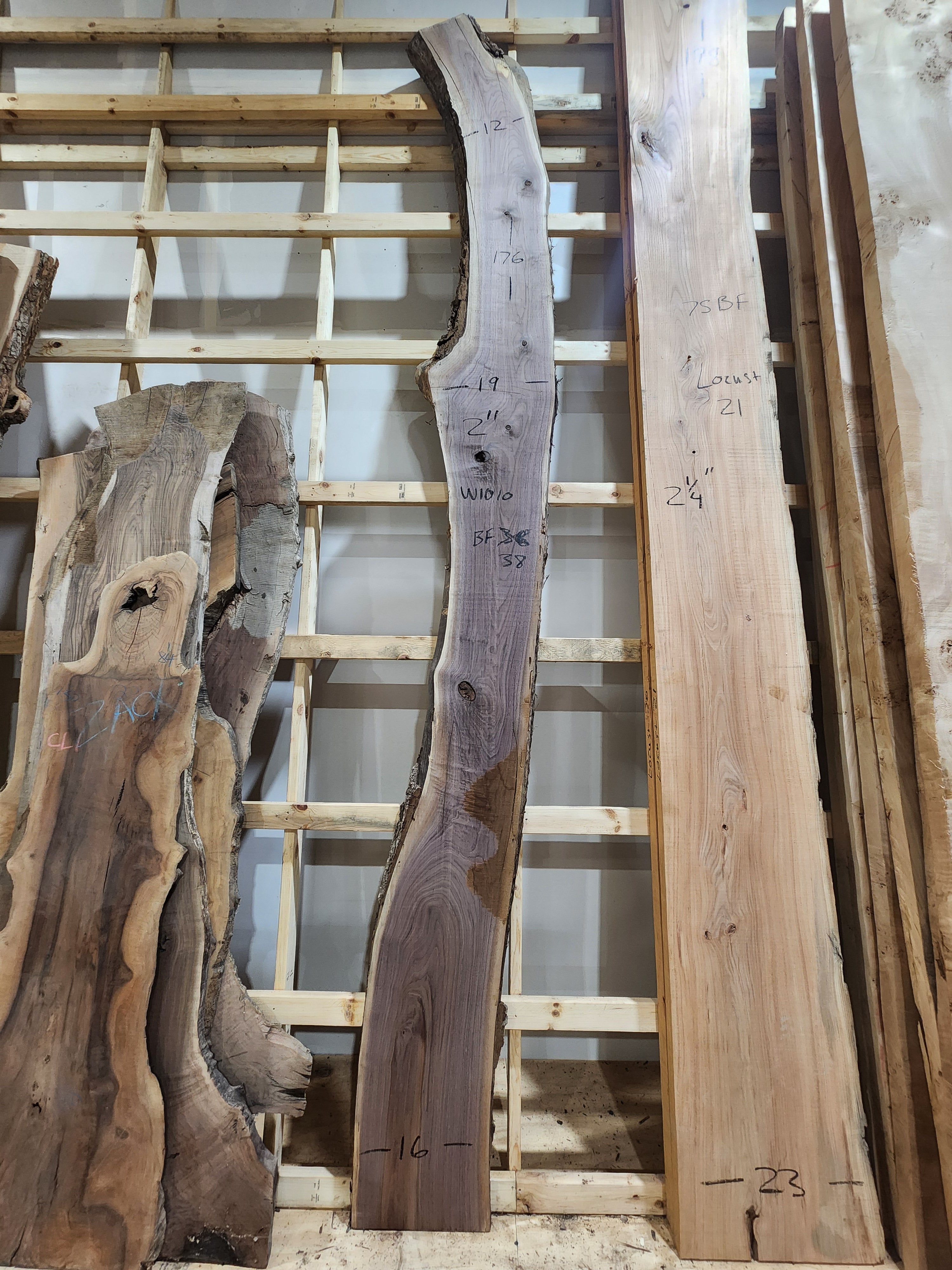 Walnut 176