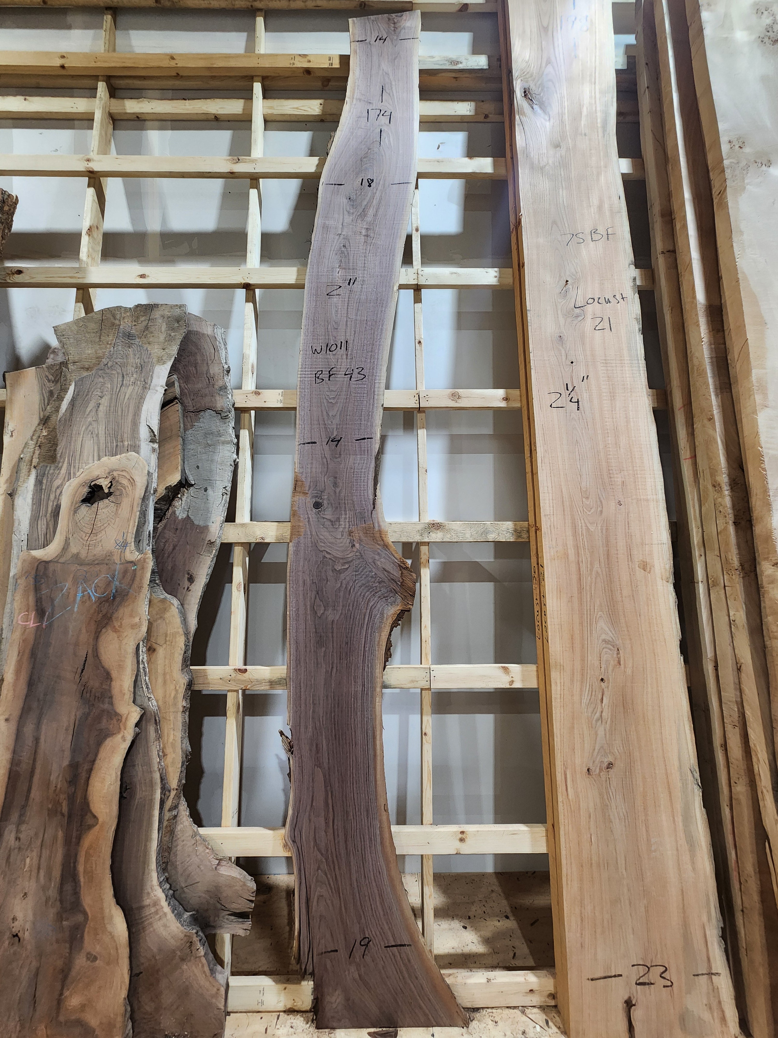 Walnut 174