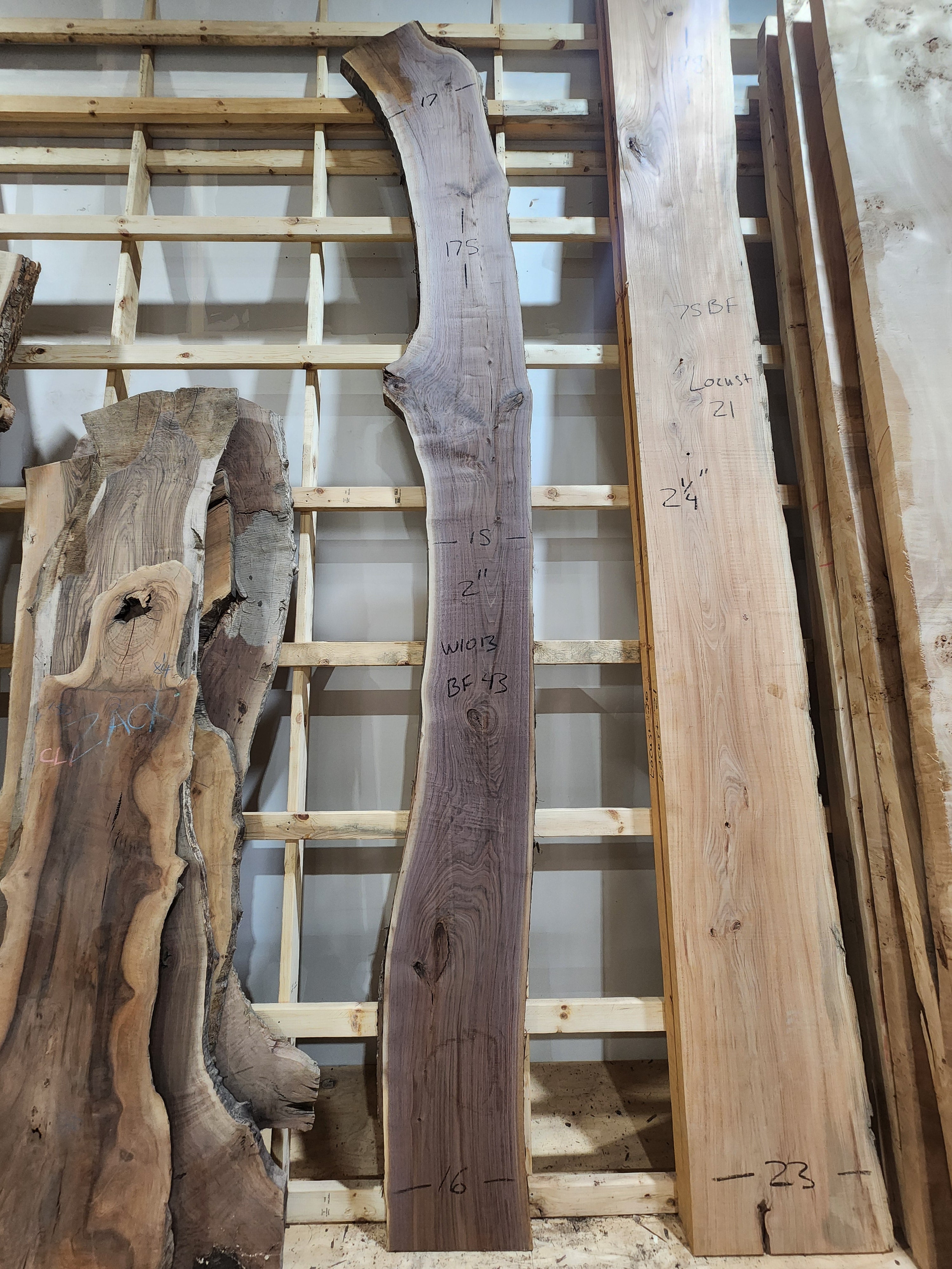 Walnut 175