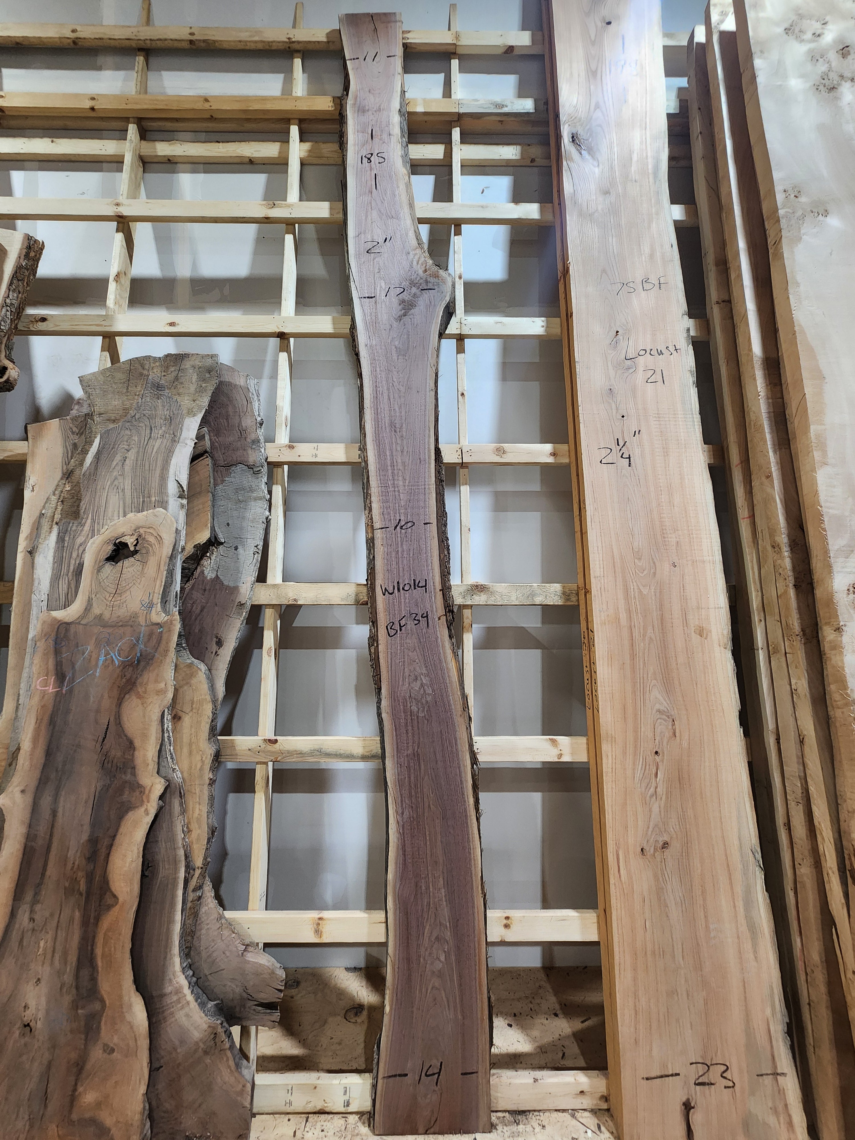 Walnut 185