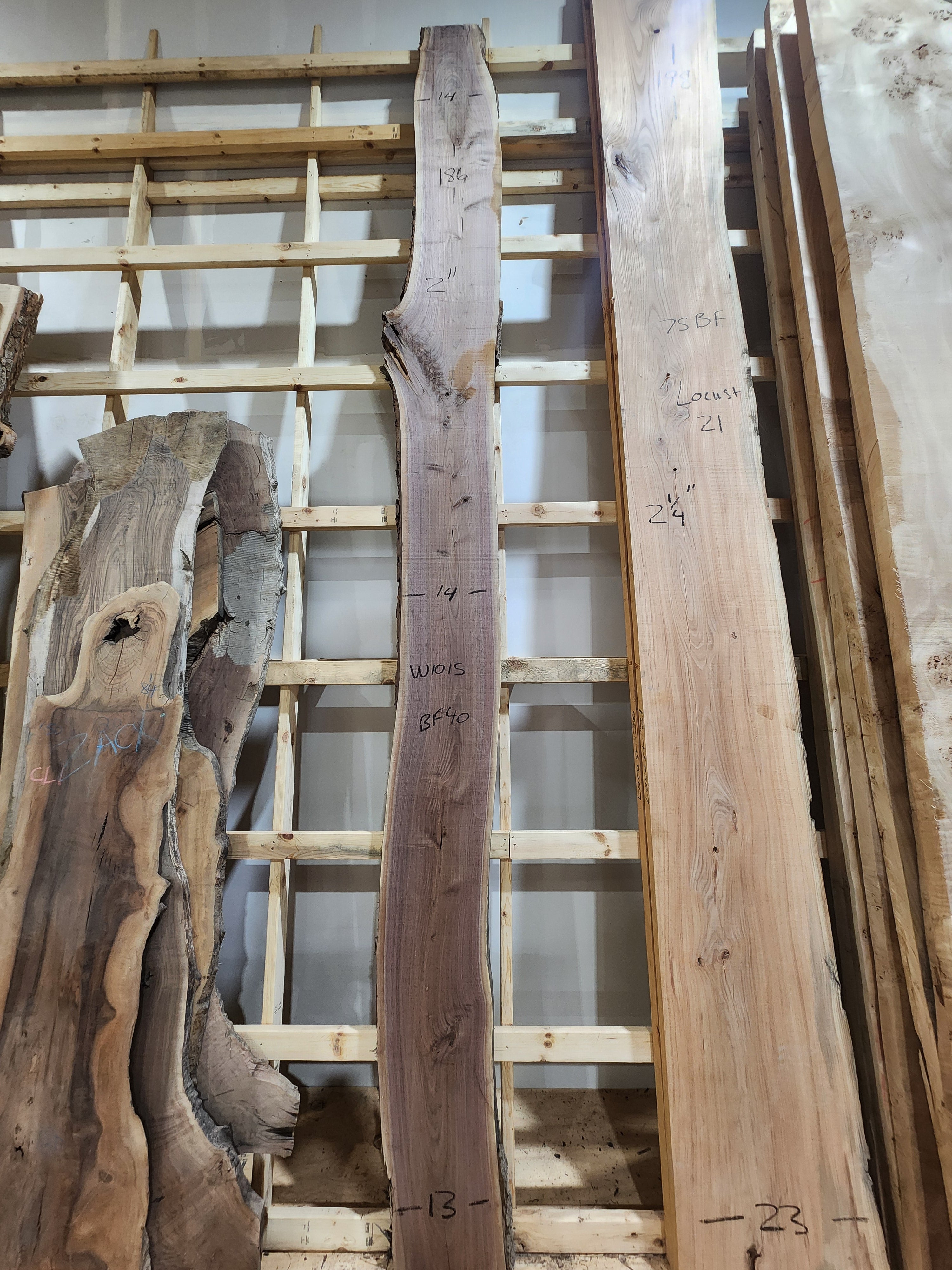 Walnut 186