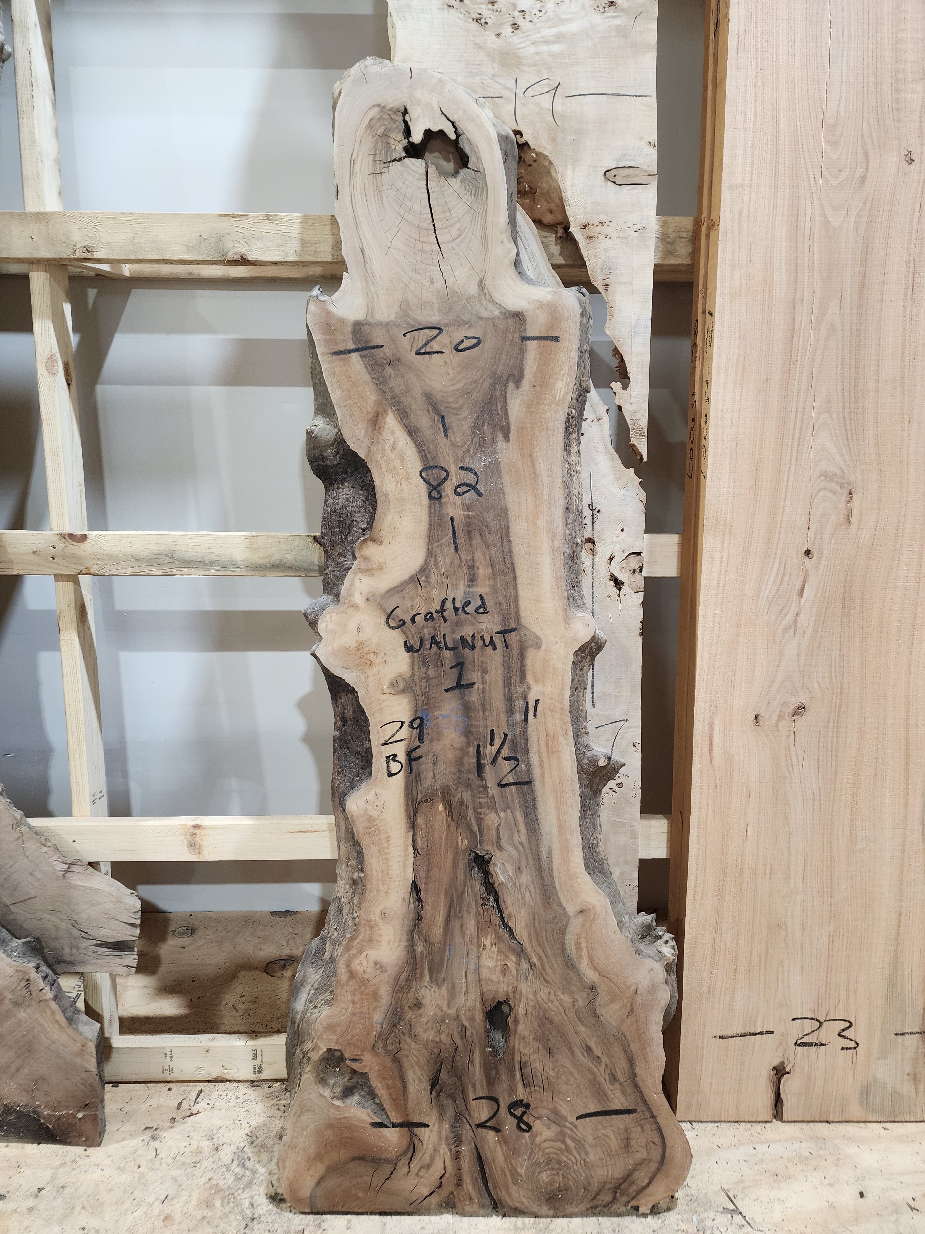 Grafted Walnut 82