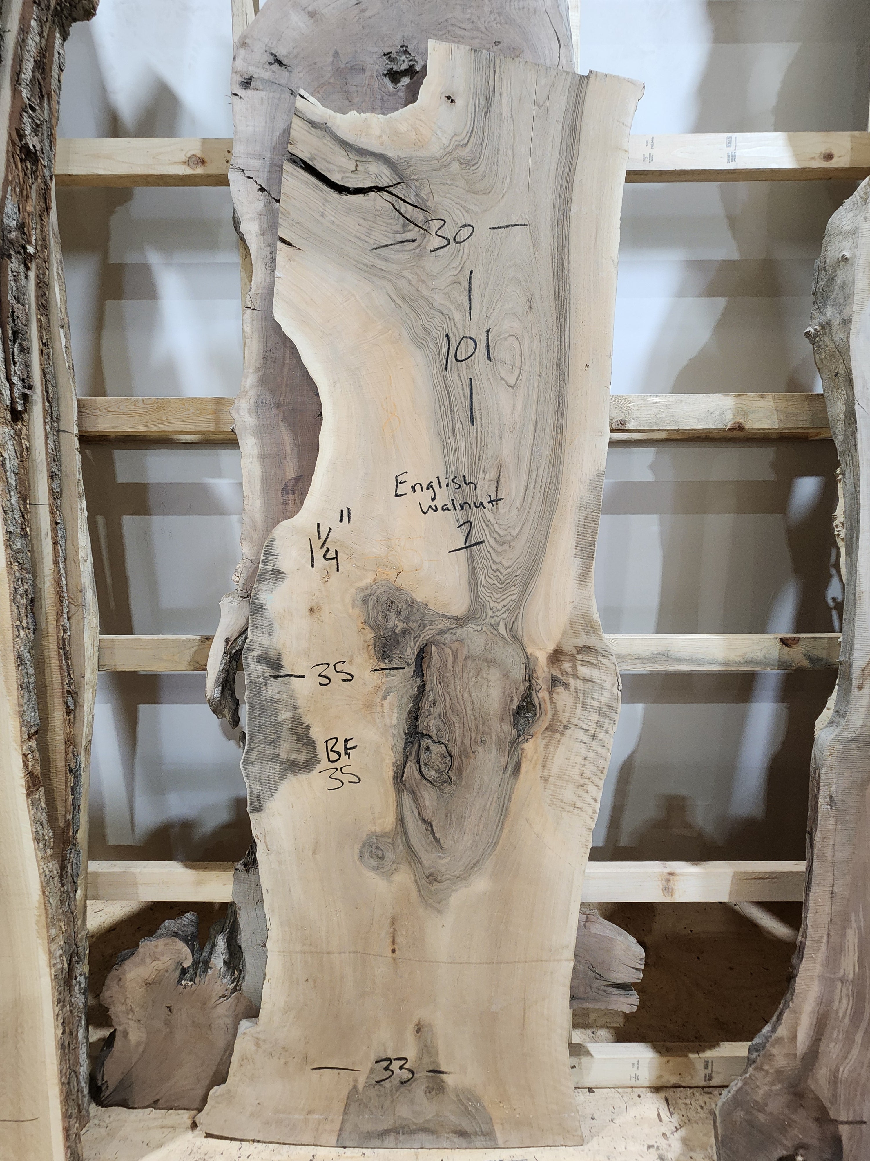 Grafted Walnut 101