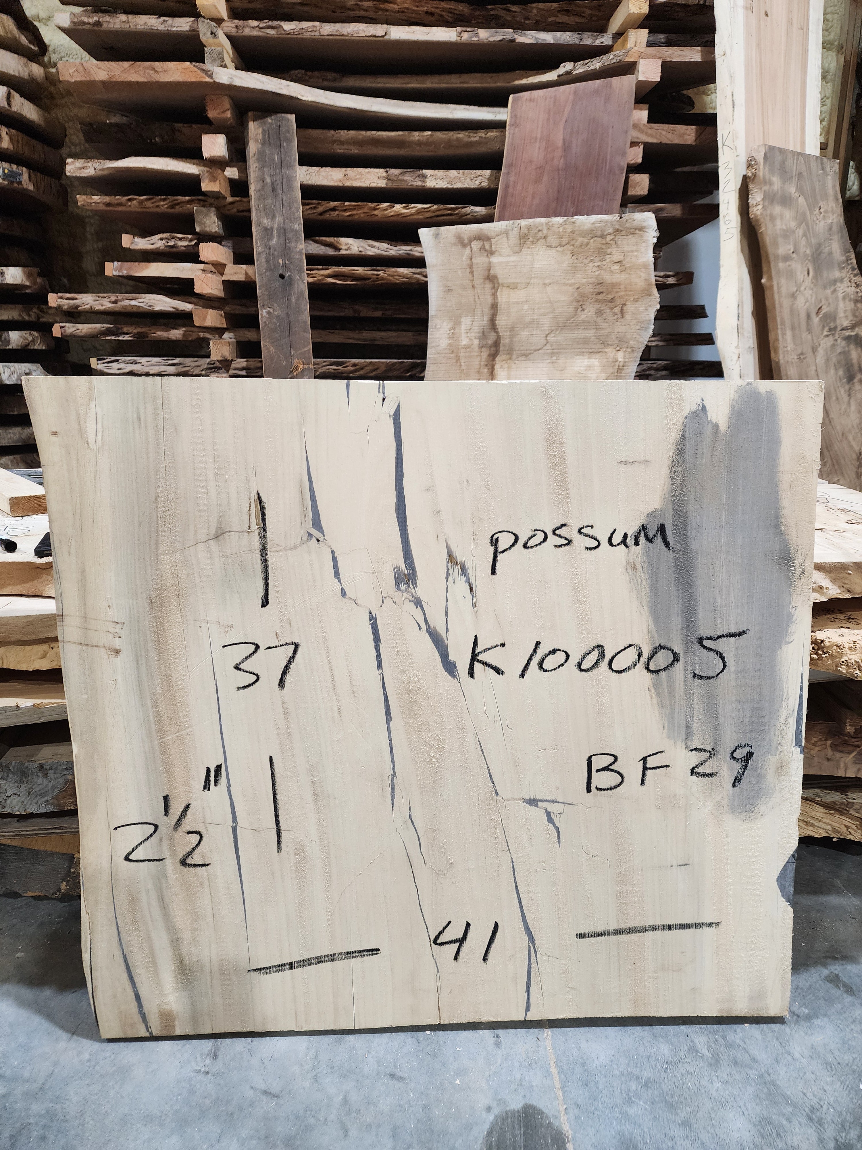 Possum 37