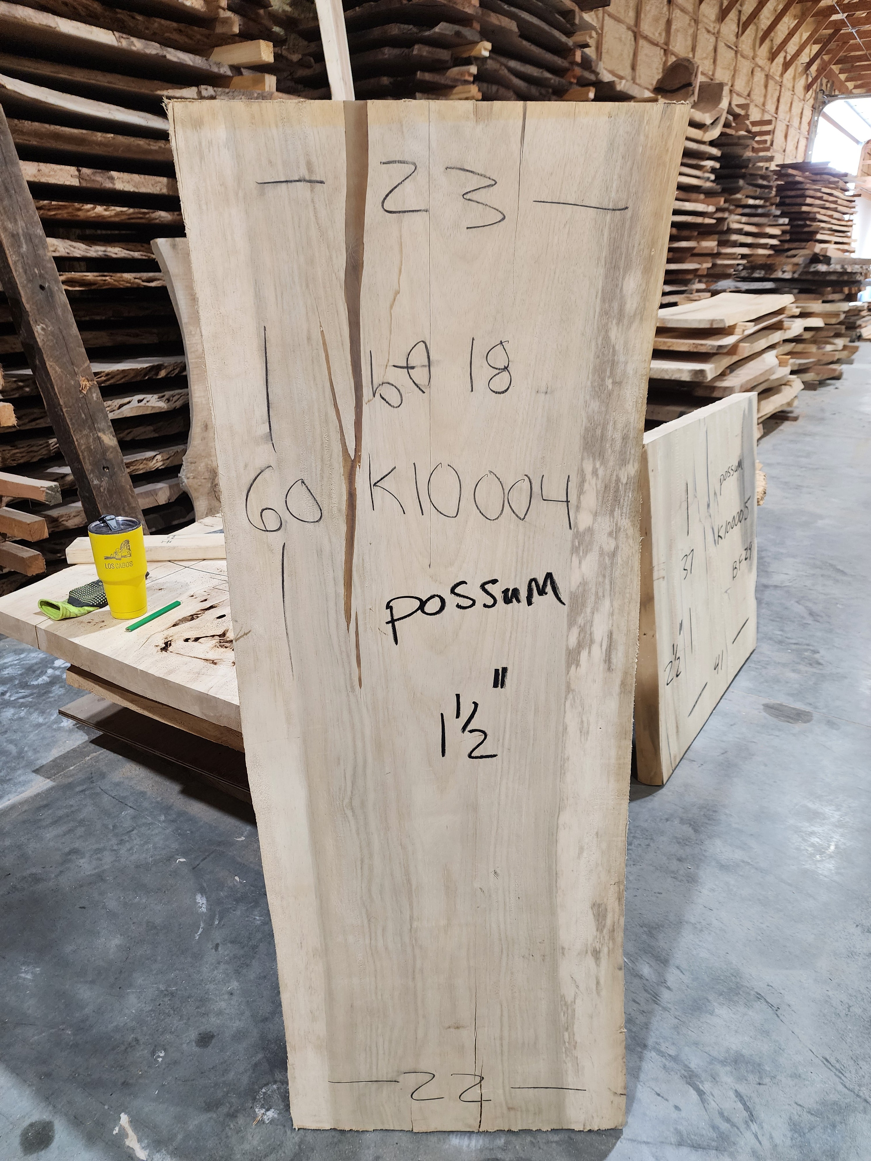 Possum 60