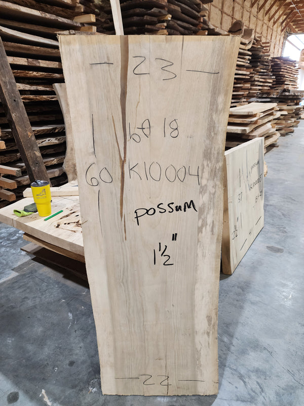 Possum 60"X23"X1.5"