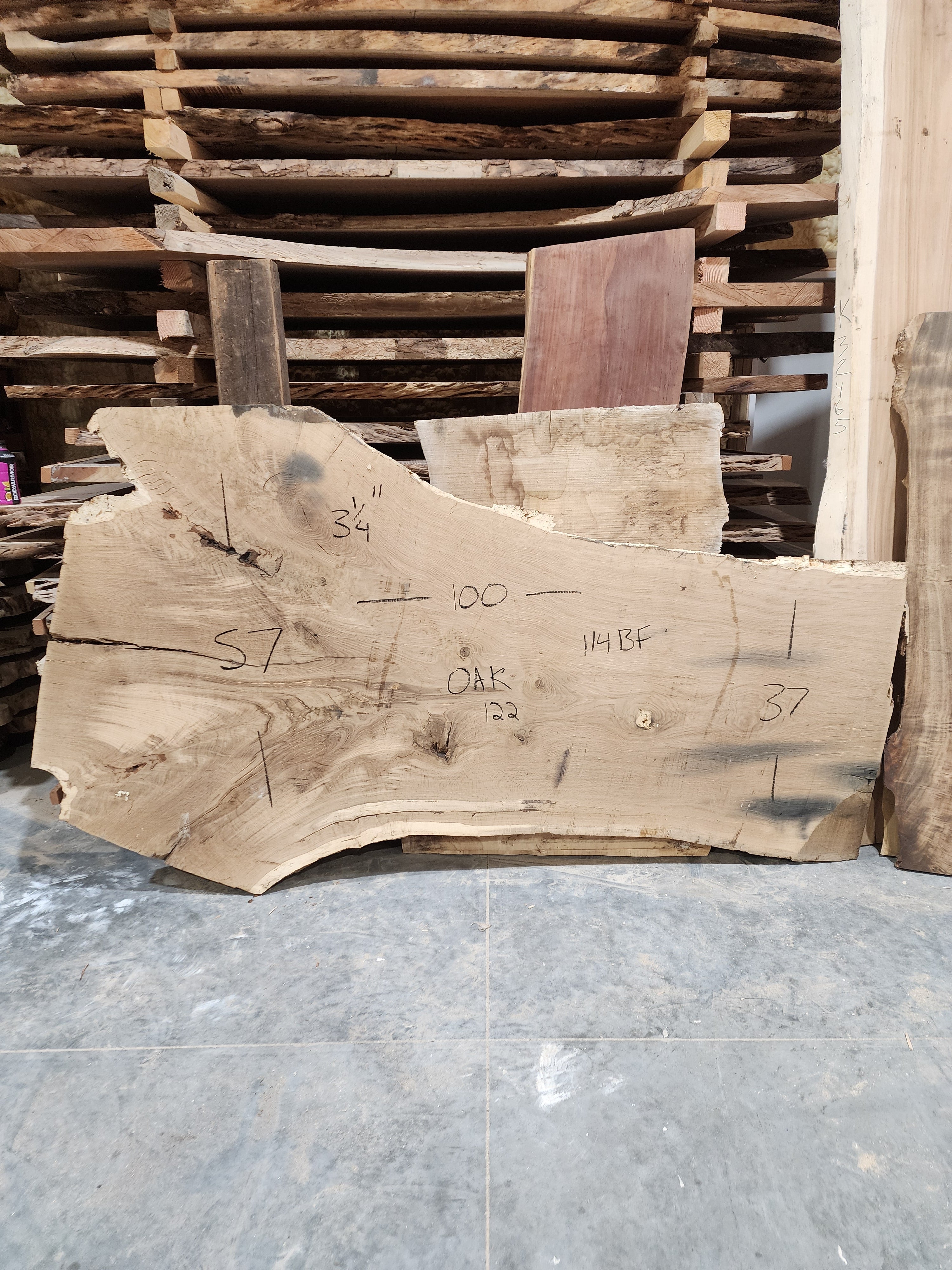Oak 100