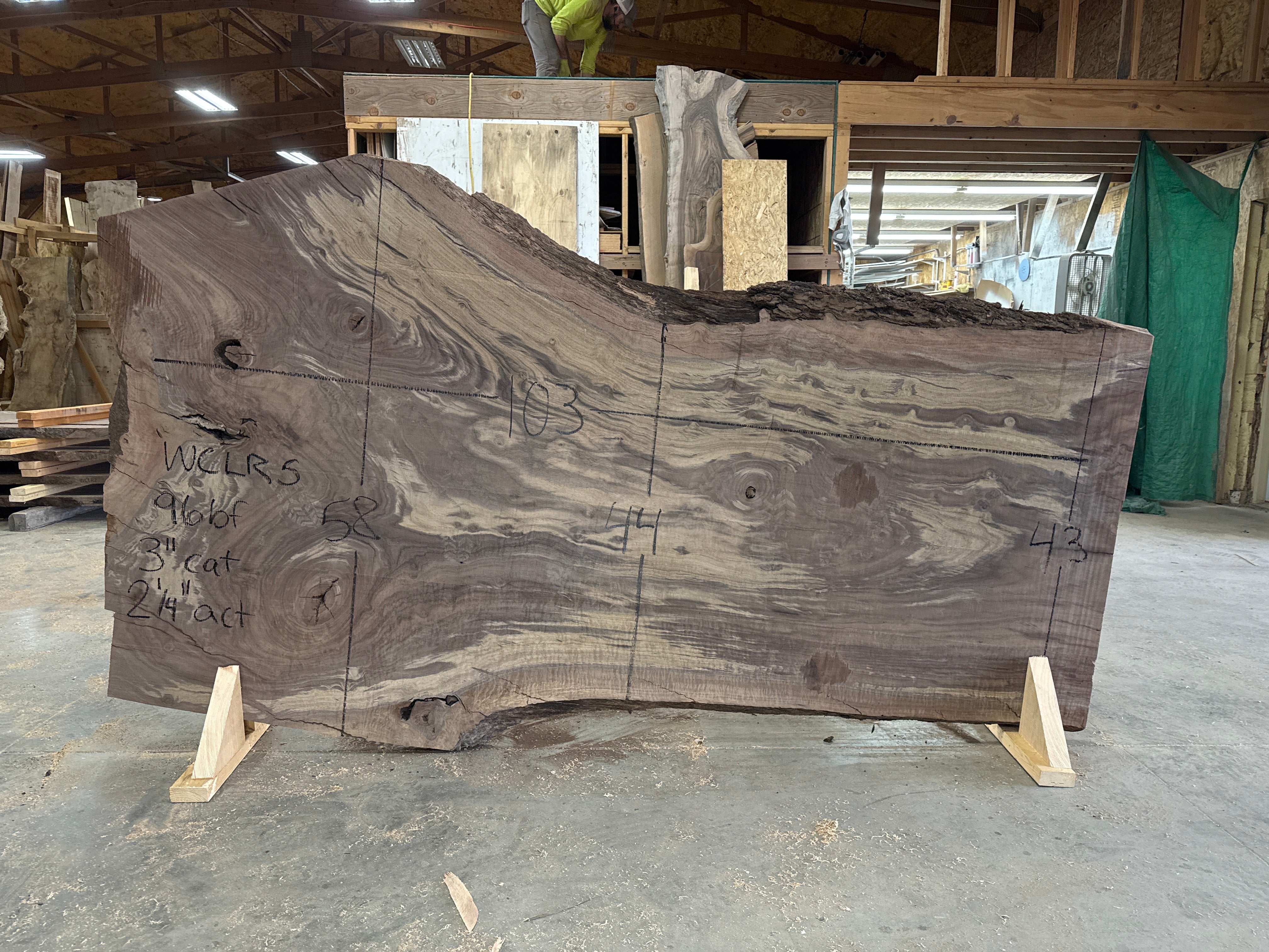 Claro walnut 103