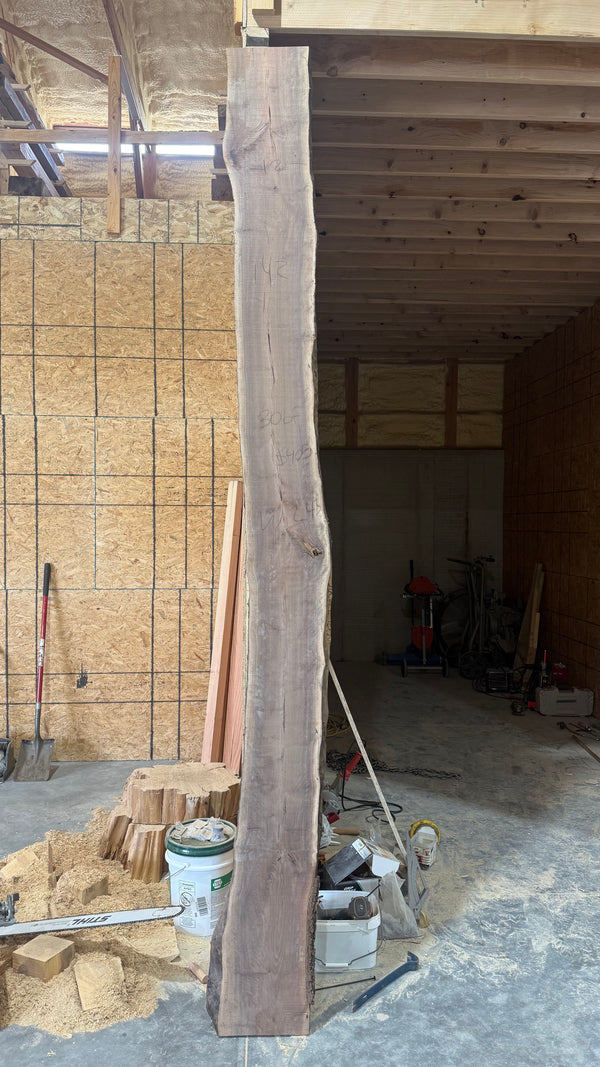 Walnut 142"x12"x2"